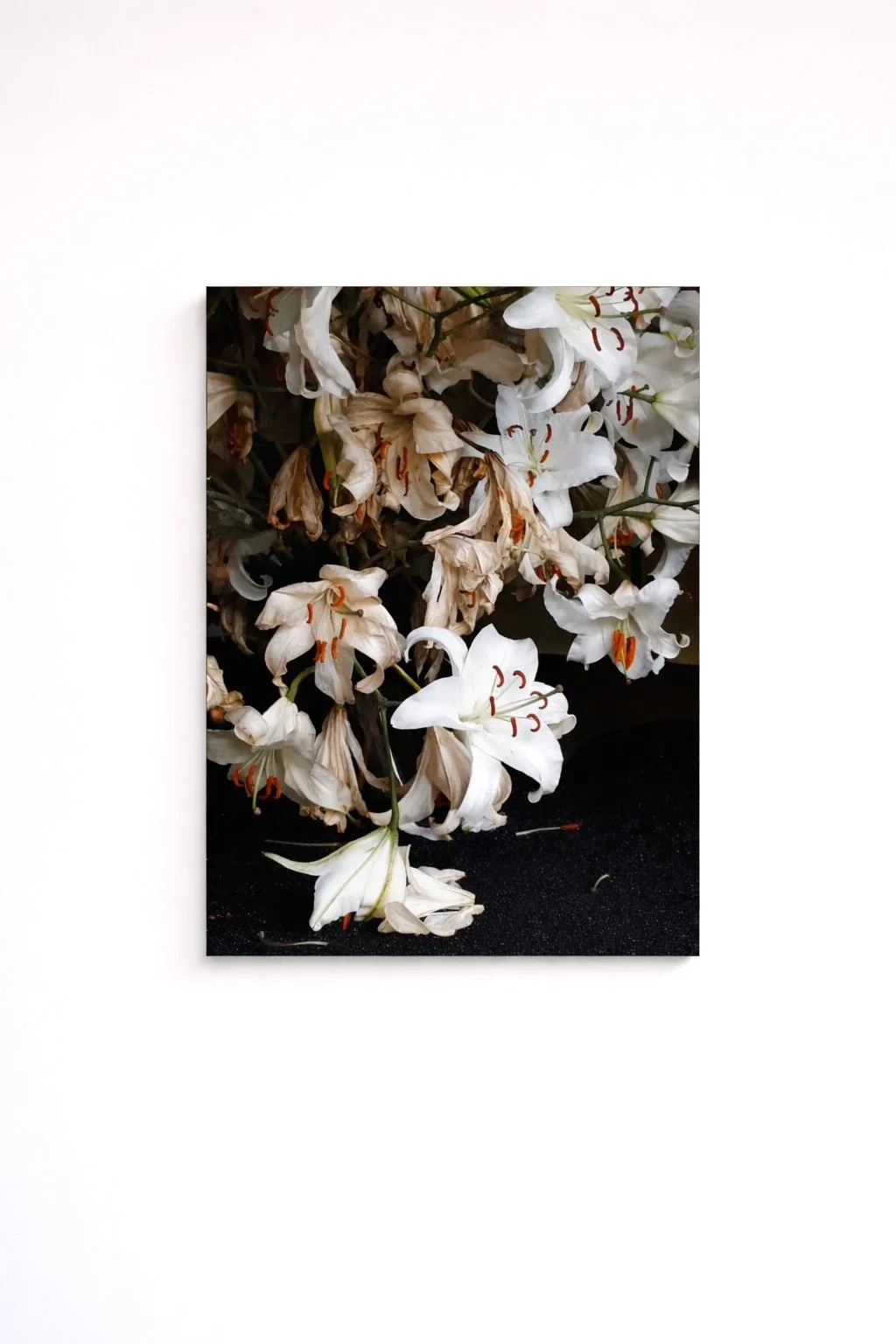 Image JPEG-487E-833D-11-0.jpeg