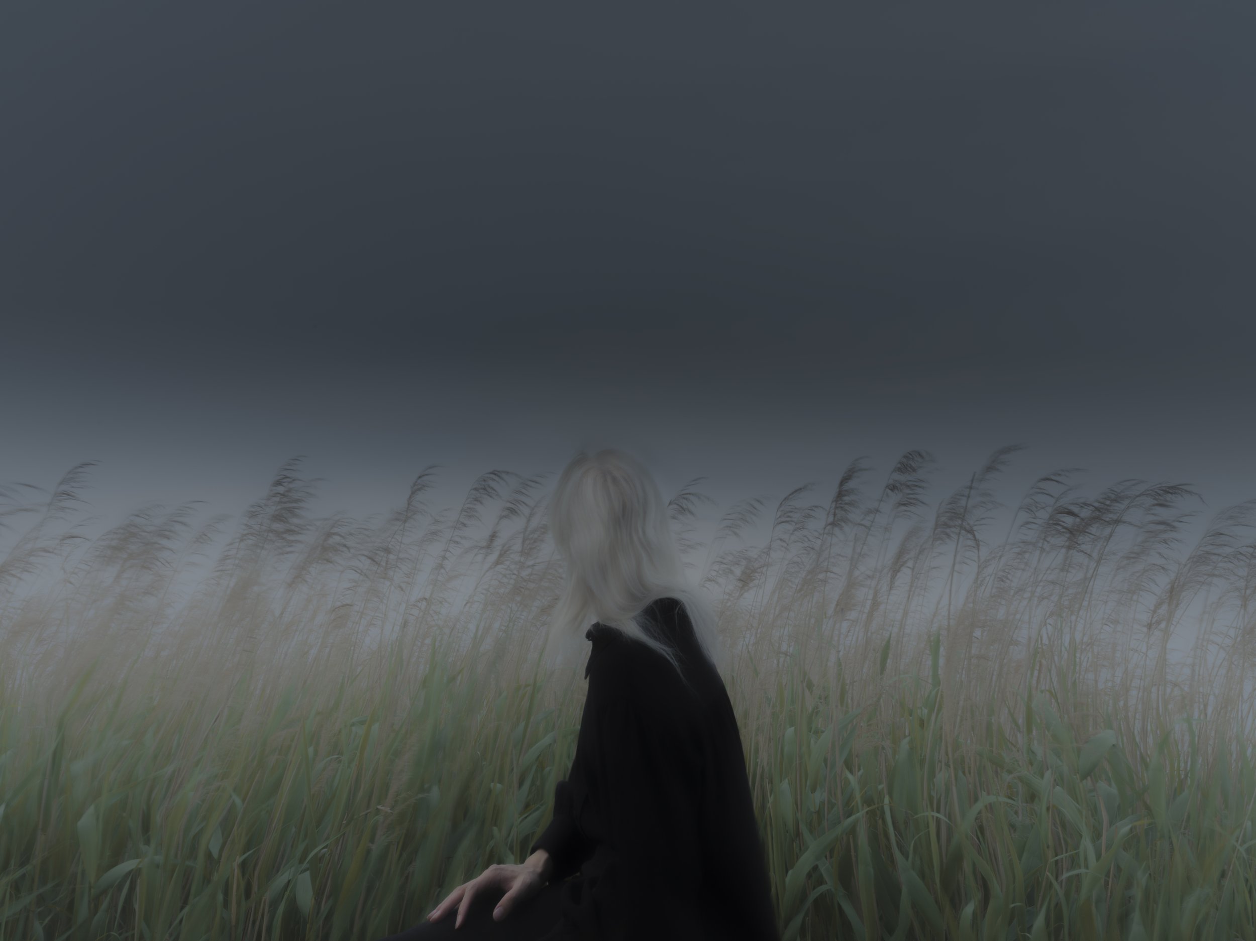 Whistling Reeds, 2021
Archival print on photo Hahnemühle rag satin
Edition of 1/2 | 30 x 40 cm | 1'200 CHF unframed
Edition of 2/2 + 1AP | 60 x 80 cm | 3'300 CHF unframed | 4'000 CHF framed in massive oak
Edition of 1/2 + 1AP | 100 x 75 cm | 4'000 CH