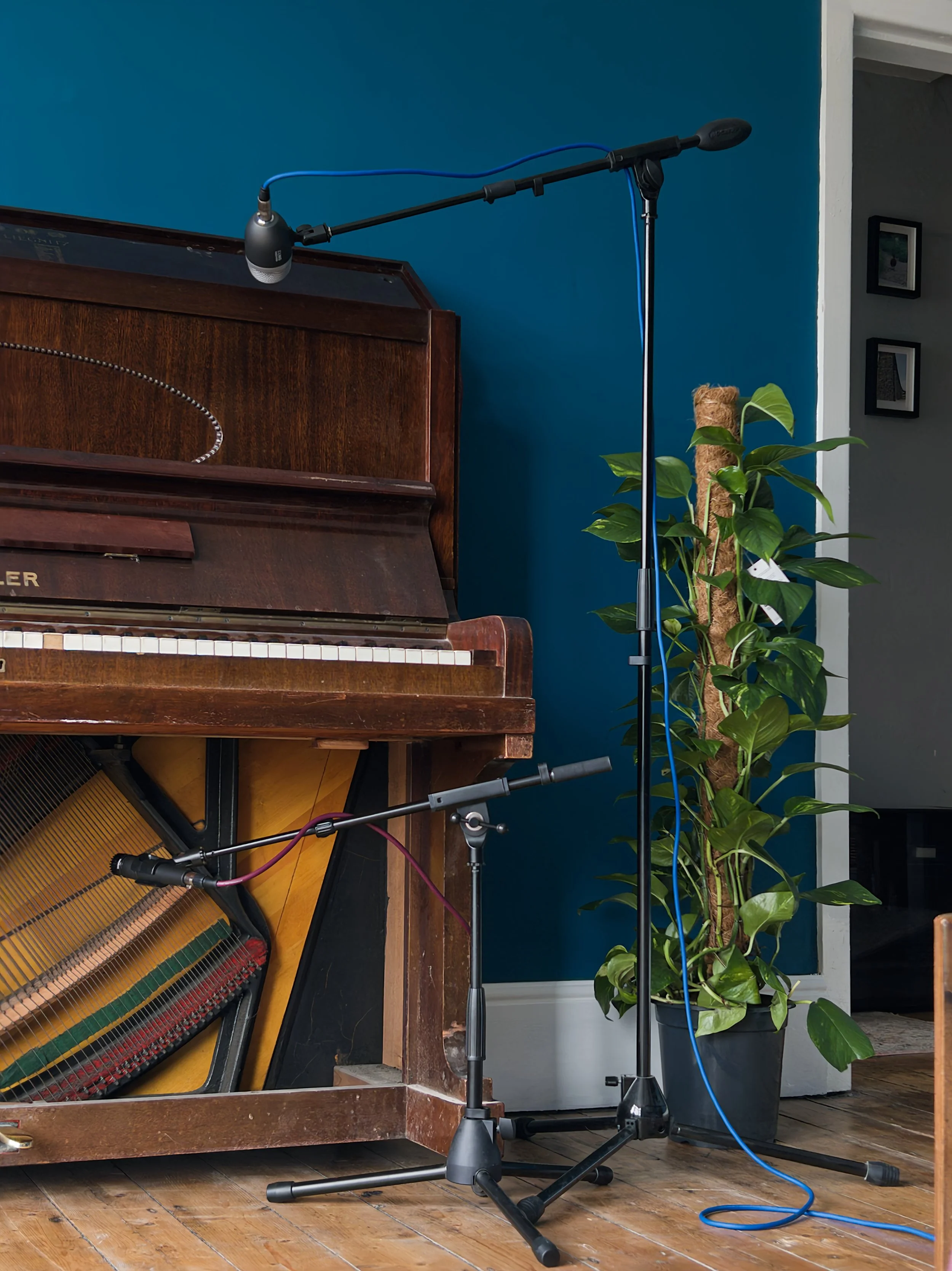 A room with a wooden upright piano next to a potted green plant, with two microphones on stands in front of the piano.