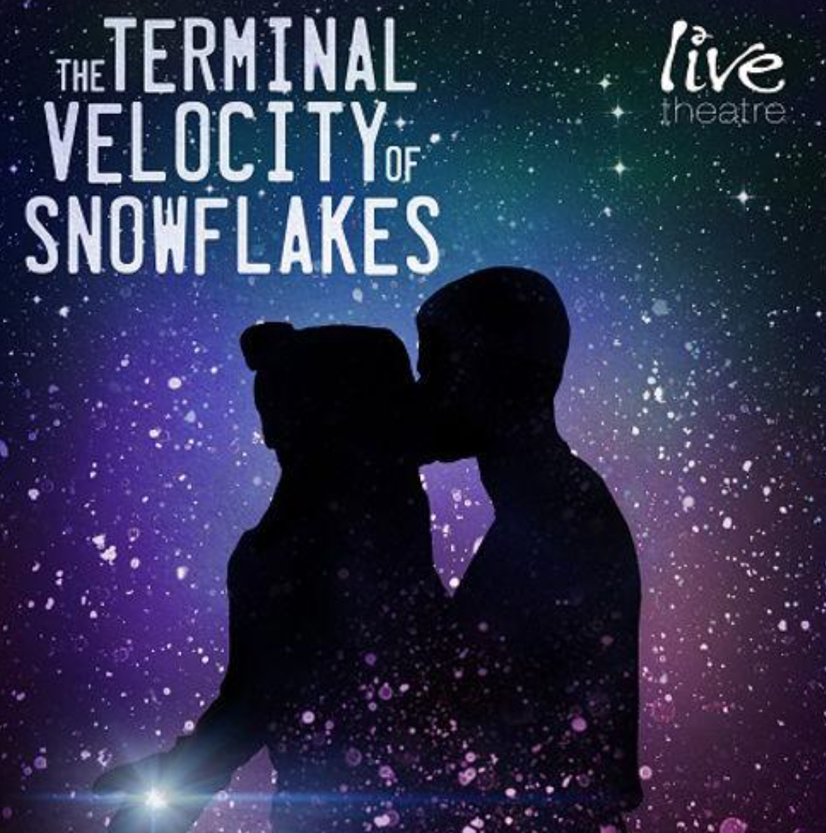 The Terminal Velocity of Snowflakes - Movement Director