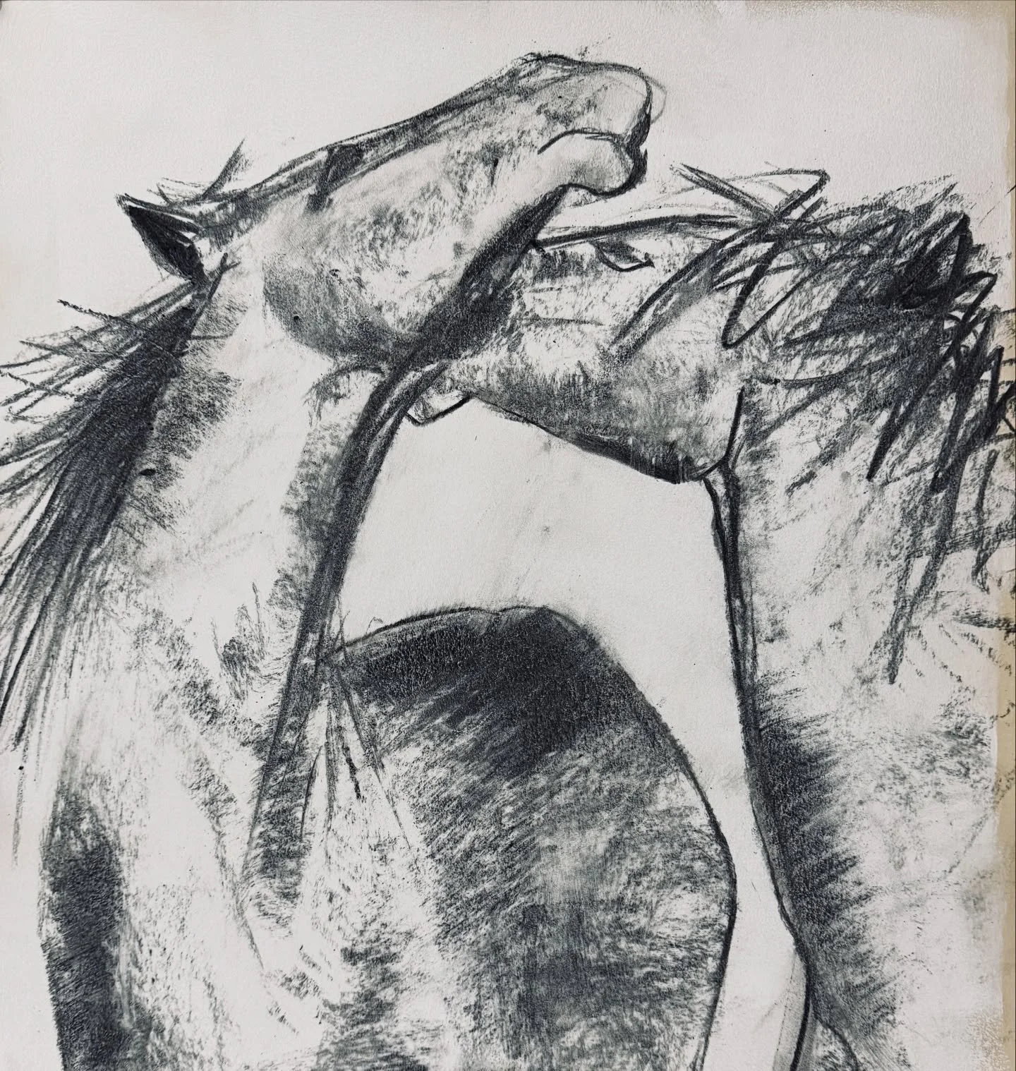 One of my first drawings of the year &hellip; and it&rsquo;s exactly like I&rsquo;m feeling !! Grabbed around the throat by a nasty virus  so my intention to make a drawing every day has been halted somewhat &hellip;

Hey ho ! it&rsquo;s giving me th