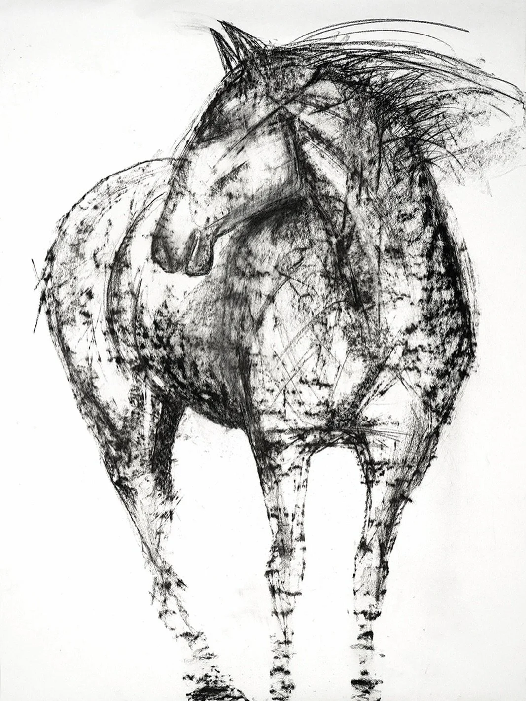 Just about to send this Fine Art Print of &ldquo;Someone to Watch Over You&rdquo; off to its new home 🤍 This piece always felt like having a horse quietly watching over me while I slept &mdash; the original used to hang in my bedroom, and I miss it 