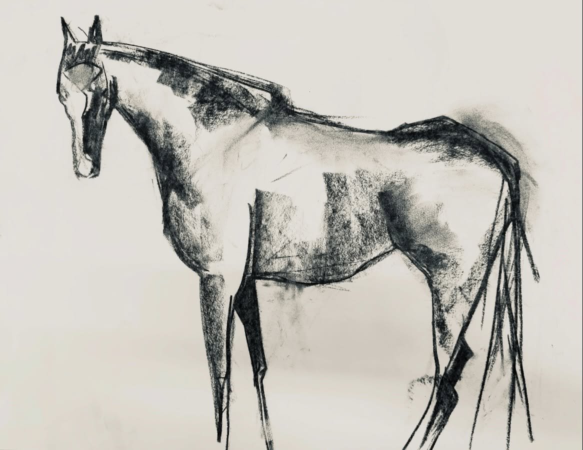 Ayoshi &mdash; an incredible beautiful mare from @returntofreedom 

Her energy has taken up space in my studio  over the last couple of weeks .
From this simple charcoal drawing, made out in the back hill pasture with the herd I&rsquo;ve been creatin