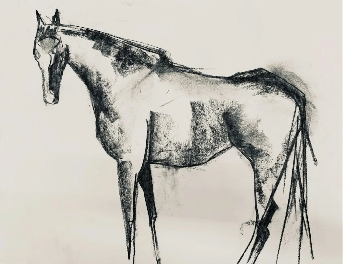 Ayoshi &mdash; an incredible beautiful mare from @returntofreedom 

Her energy has taken up space in my studio  over the last couple of weeks .
From this simple charcoal drawing, made out in the back hill pasture with the herd I&rsquo;ve been creatin