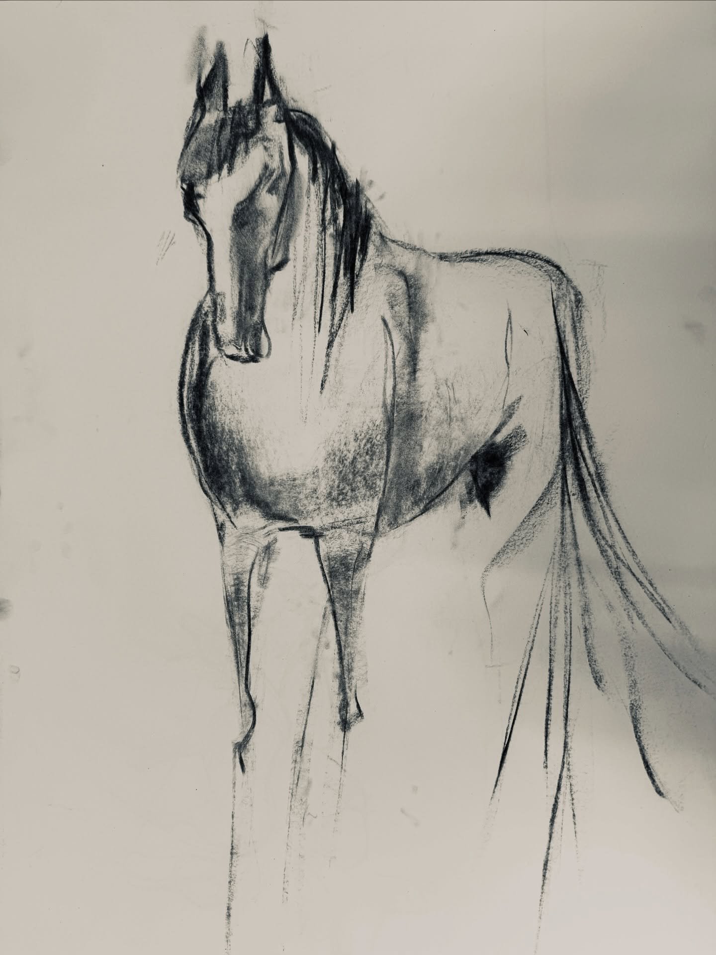 There&rsquo;s something that happens when you&rsquo;re standing or sitting in front of a horse, drawing from life. You don&rsquo;t have long to capture the essence, so you begin to refine your sense of gesture and feeling &mdash; instinct takes over.