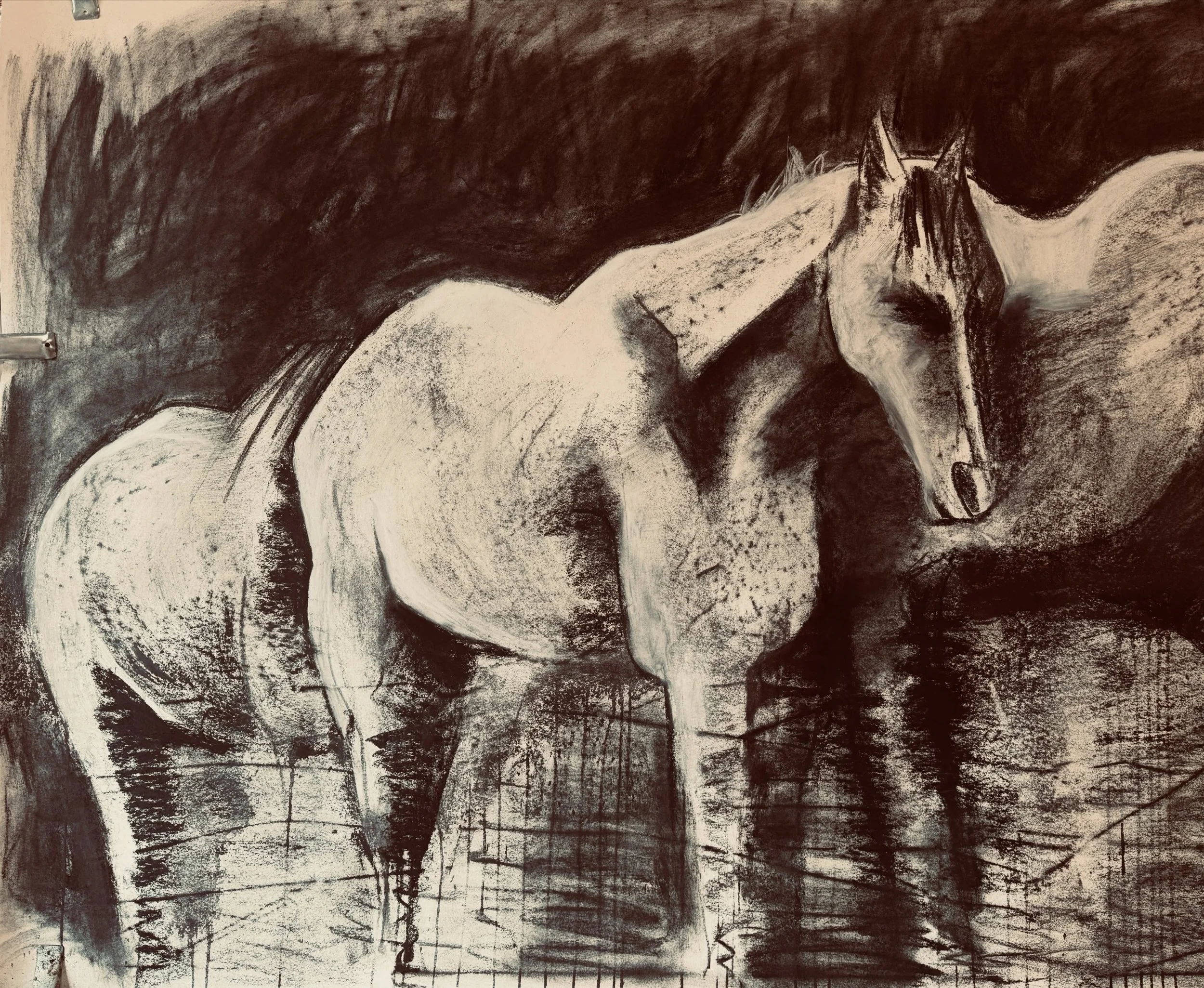 If you have ever spent time grooming a horse, you will know that the coat lies in many different directions &mdash; curving and shifting with the form of the body. 

I&rsquo;m always thinking about this when I work with a piece of charcoal in my hand