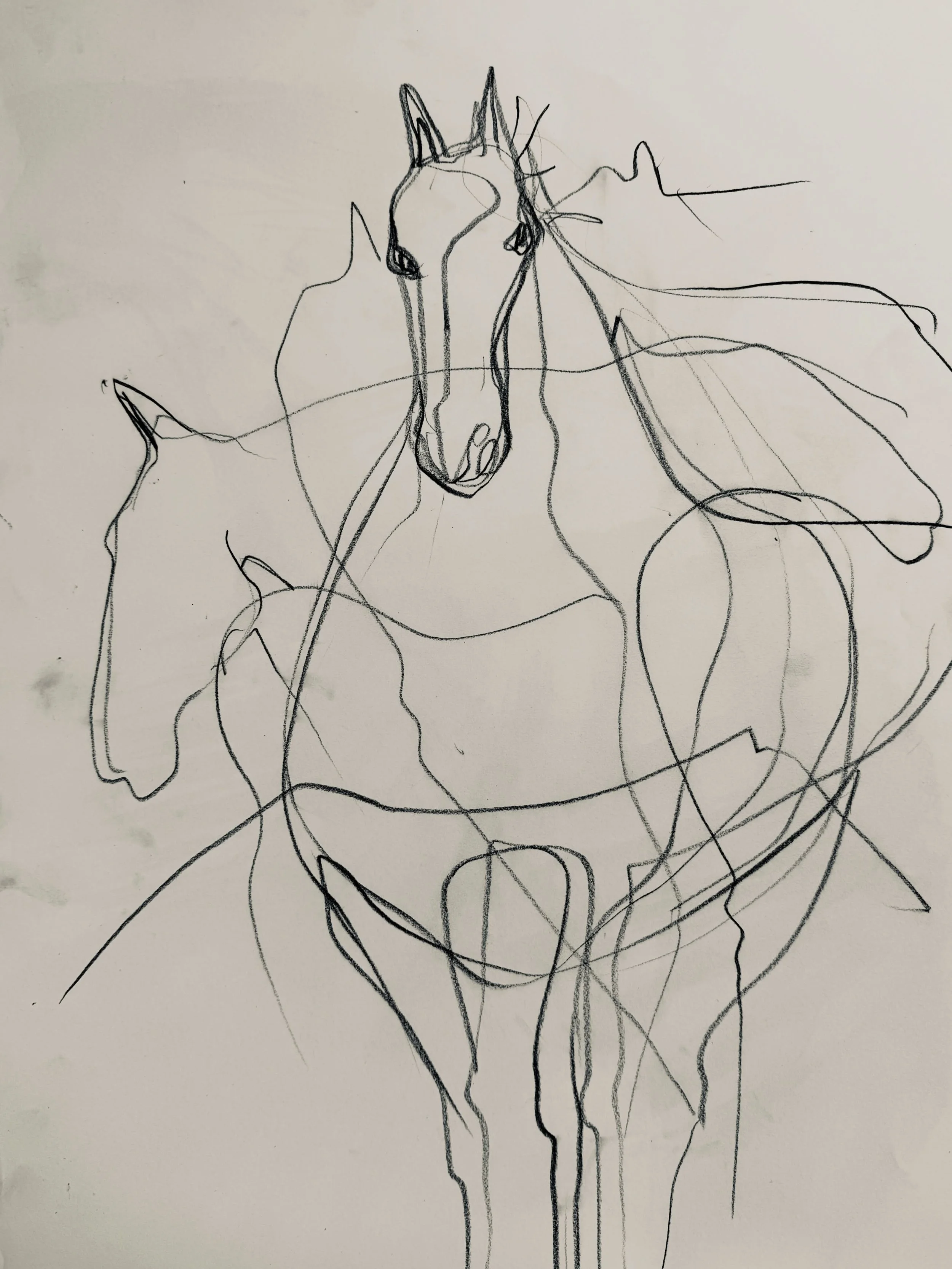 Going through some of my line drawings sketching the herds from life . Somehow they capture the essence so much more than a photo can .

Most of these are blind contour drawings which means you keep your eye on the subject and don&rsquo;t watch what 