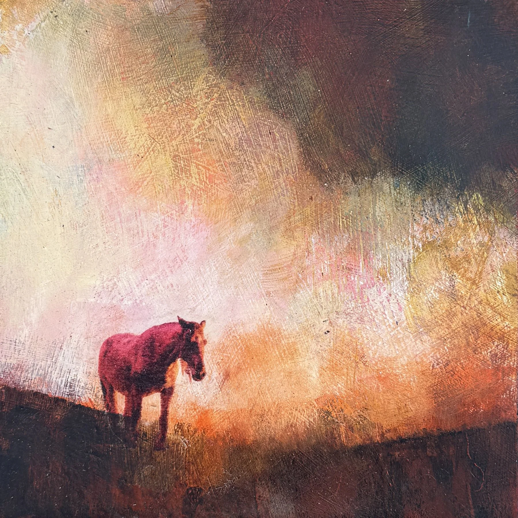 Last Horse Standing