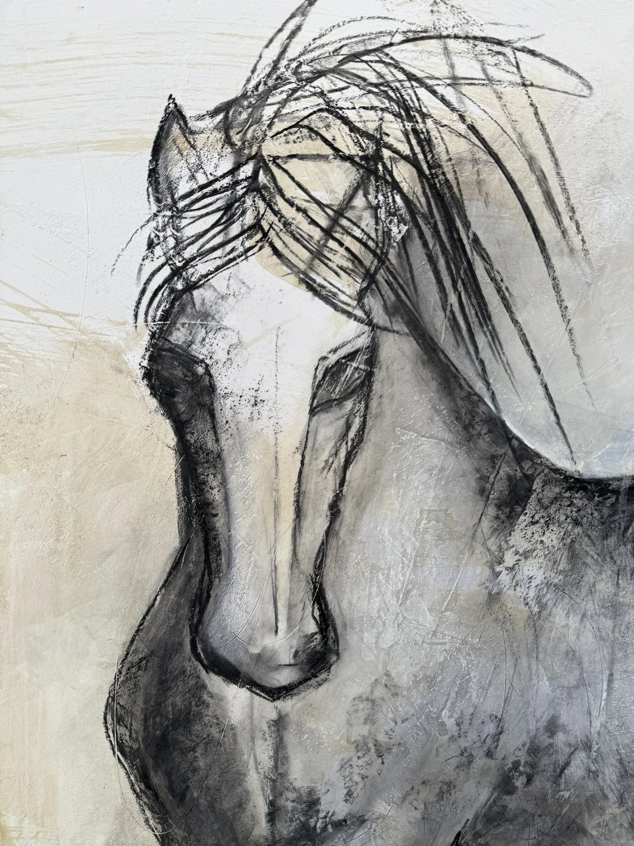 Saltwater stallion - head.JPG