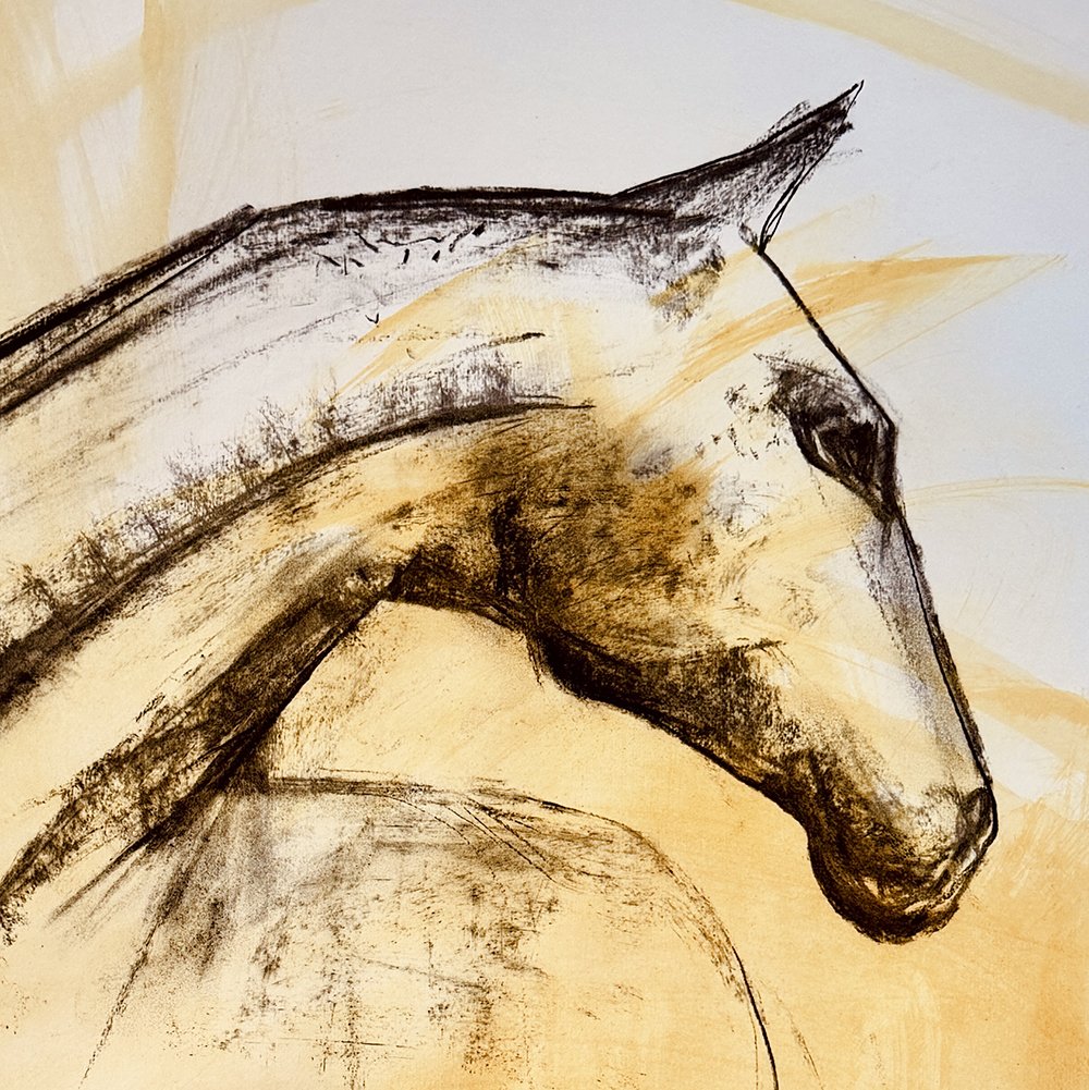 charcoal-drawing-yellow horse-head-detailjpg.jpg