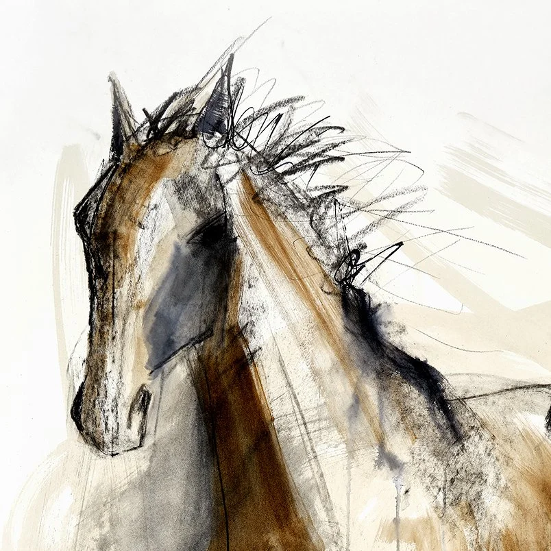 Charcoal-brown-horse-head-drawing.jpg