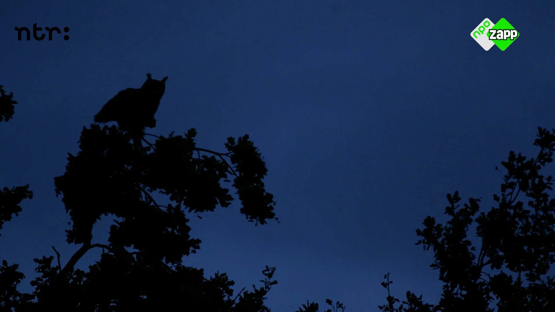 Natuur de Luxe - NTR