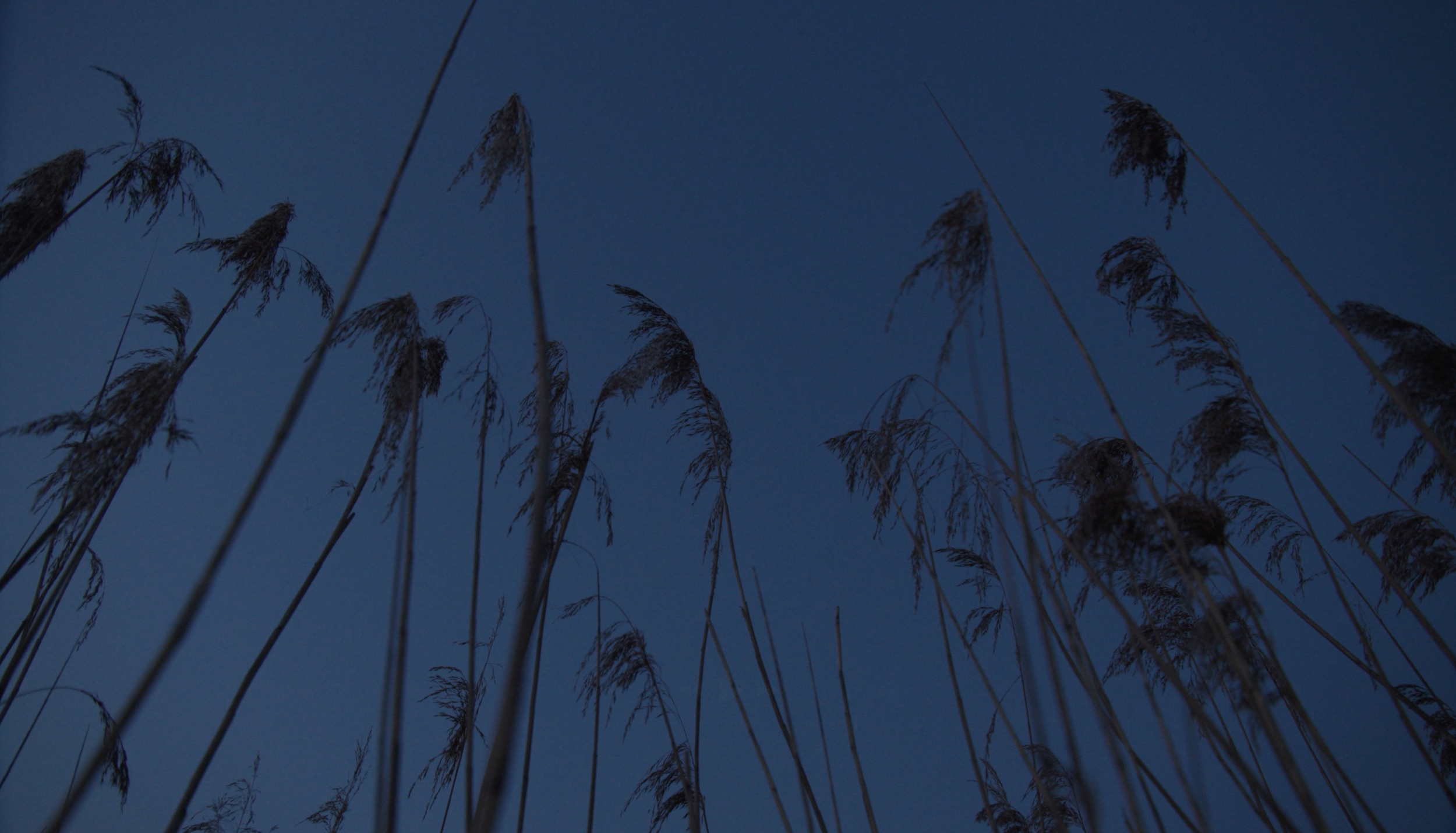 Scherm­afbeelding 2026-10-14 om 16.53.16.png