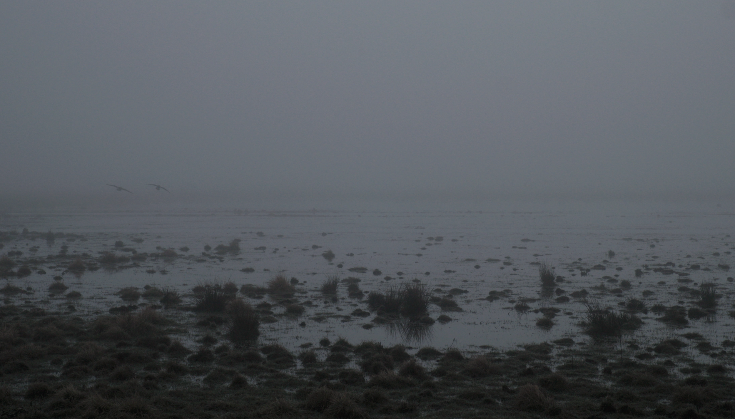 Scherm­afbeelding 2026-10-14 om 16.50.47.png