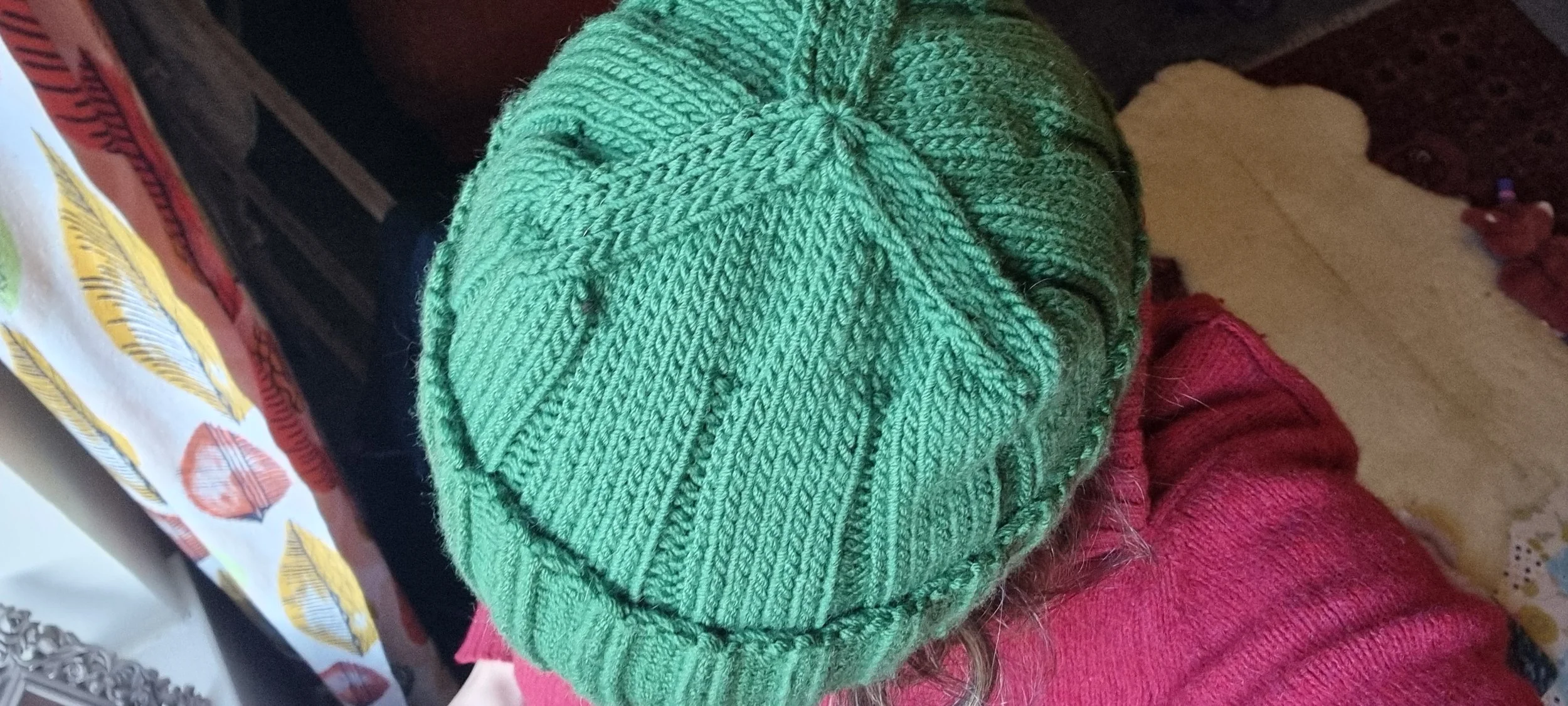 Top view of a person wearing a green knitted beanie and a red sweater, with part of a room's interior visible including a table with a leaf-patterned tablecloth and a beige carpet.