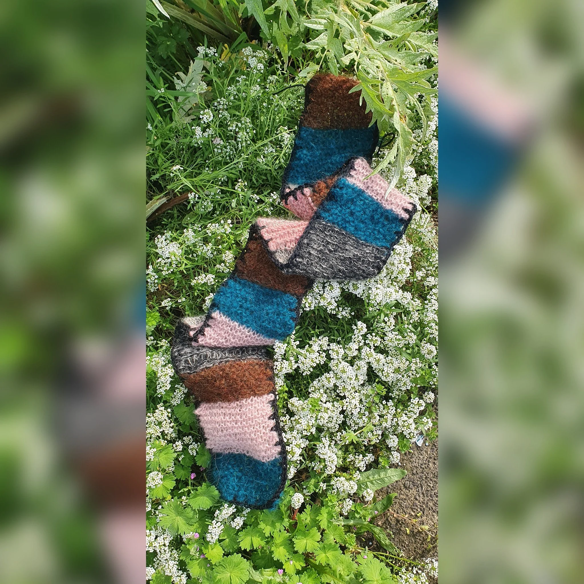Colorful knitted sock with brown, blue, pink, gray, and black stripes lying on green plants and small white flowers.