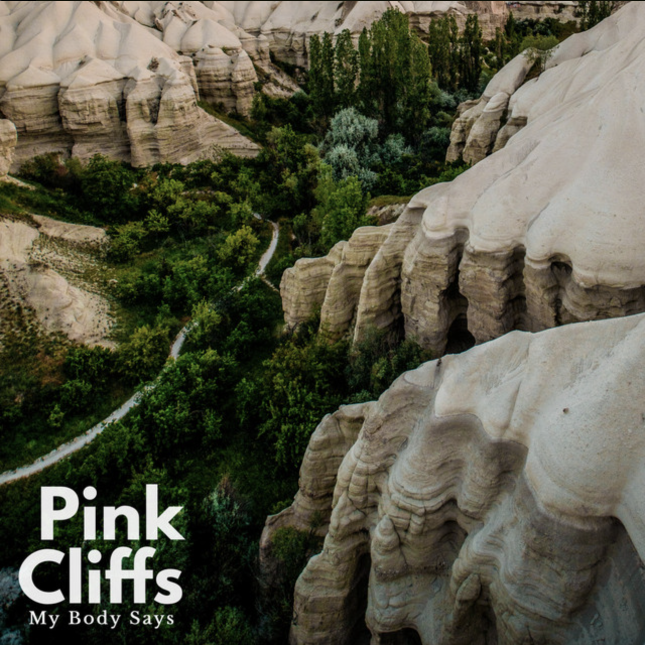 Pink Cliffs // My Body Says // Single // Mix engineer