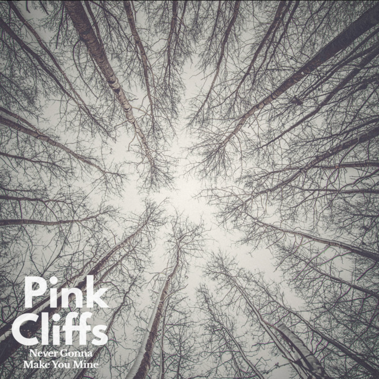Pink Cliffs // Never Gonna Make You Mine // Single // Mix engineer