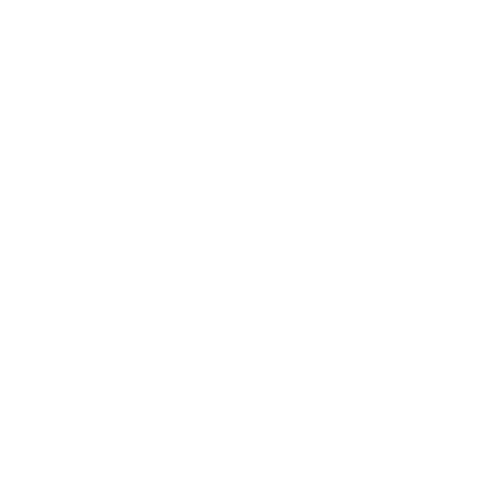 Fearless photographers community logo