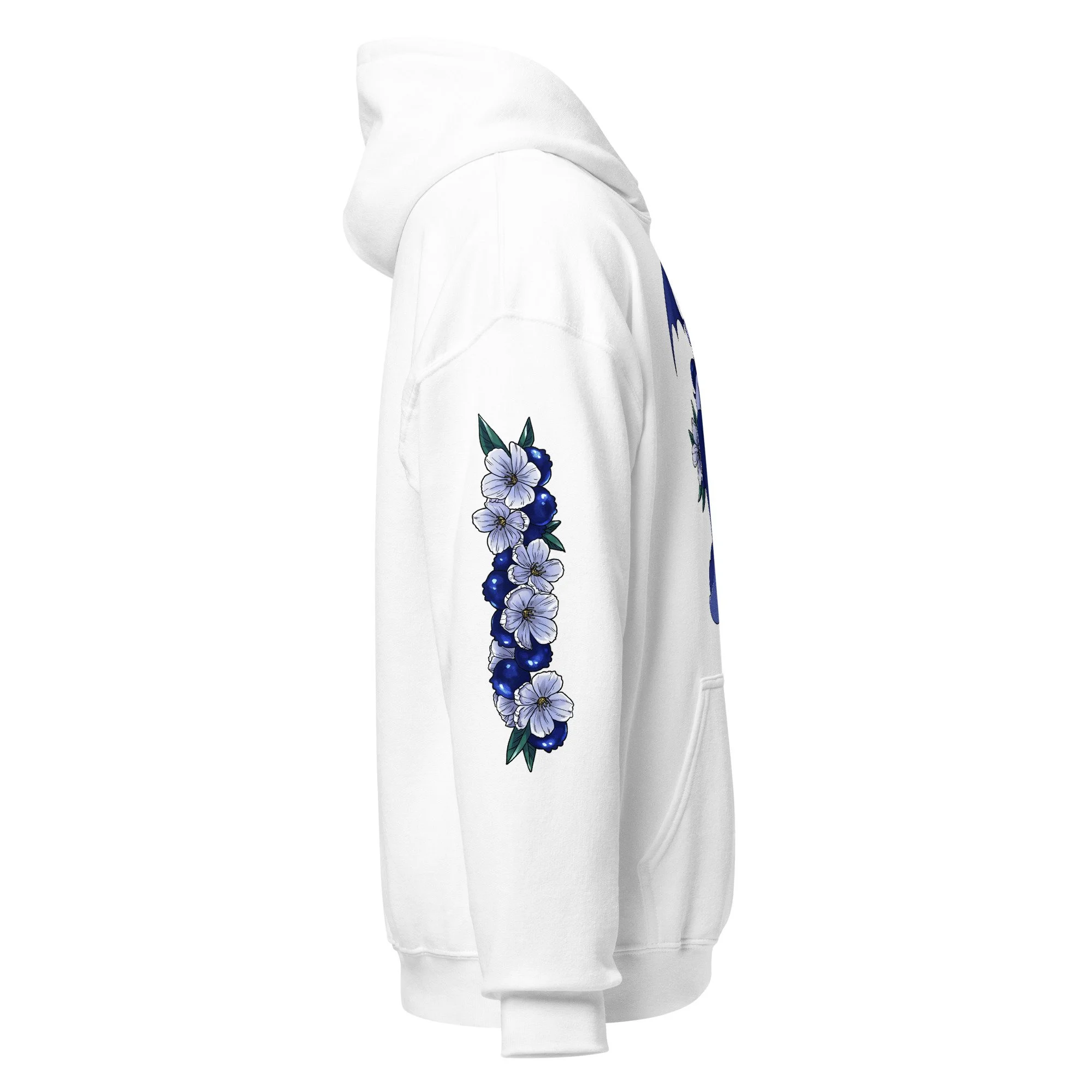 unisex-heavy-blend-hoodie-white-right-699ee62e9c515.jpg