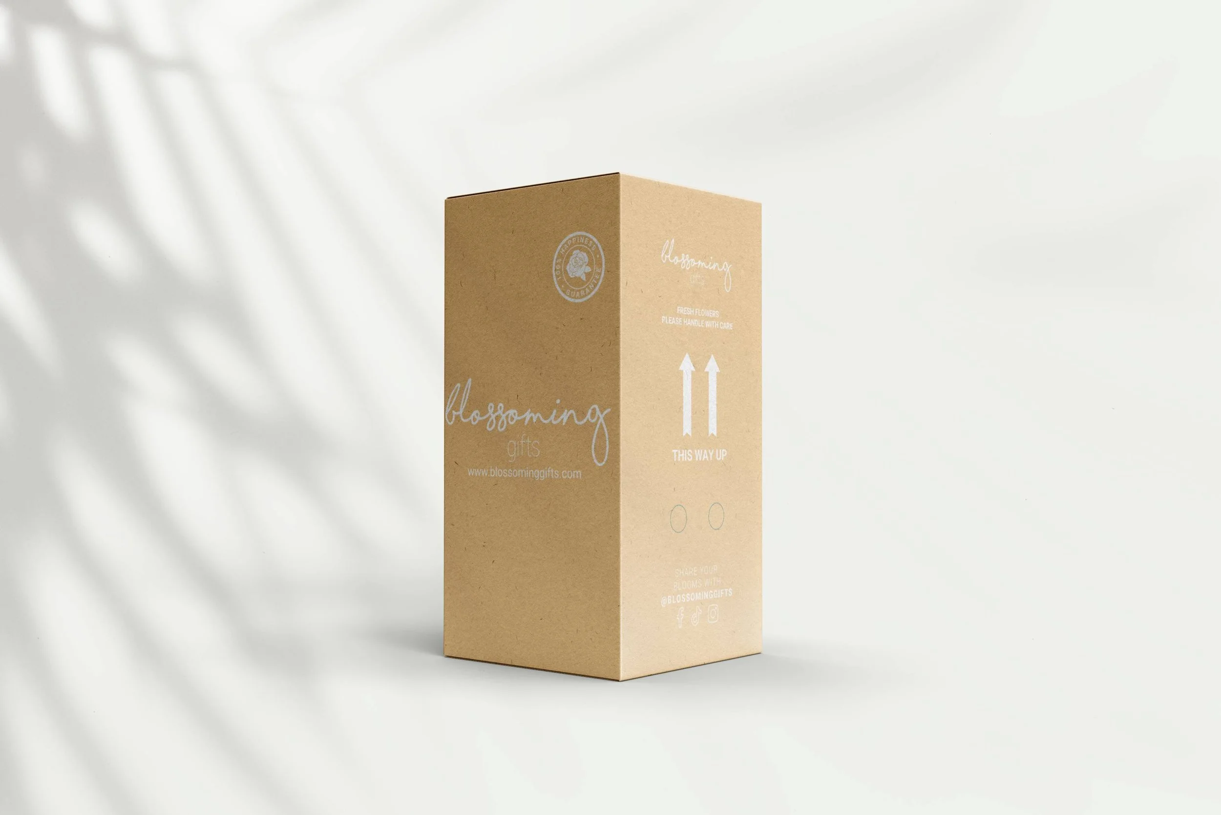 Box Mockup 02.jpg