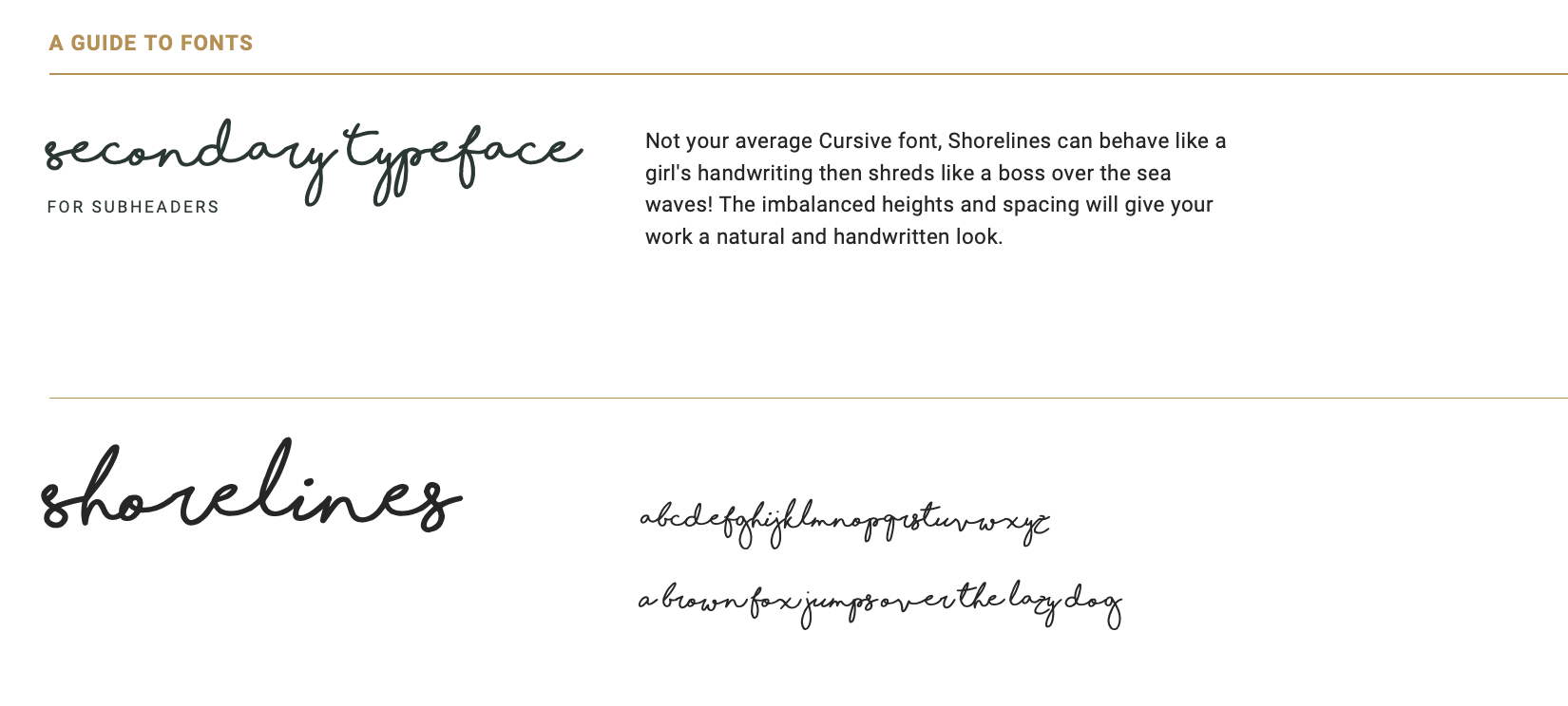 Screenshot 2026-02-13 at 13.49.45.png