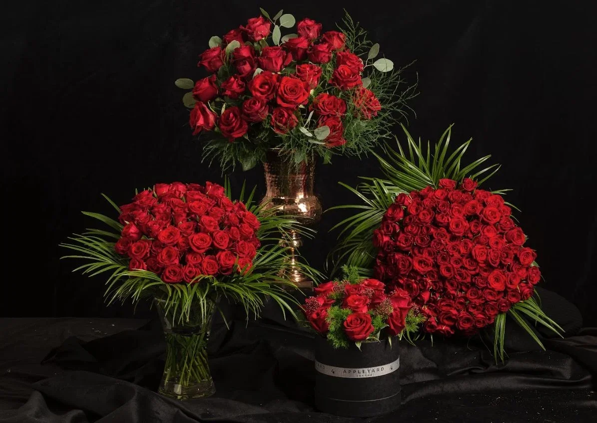 valentines campaign imagery.webp