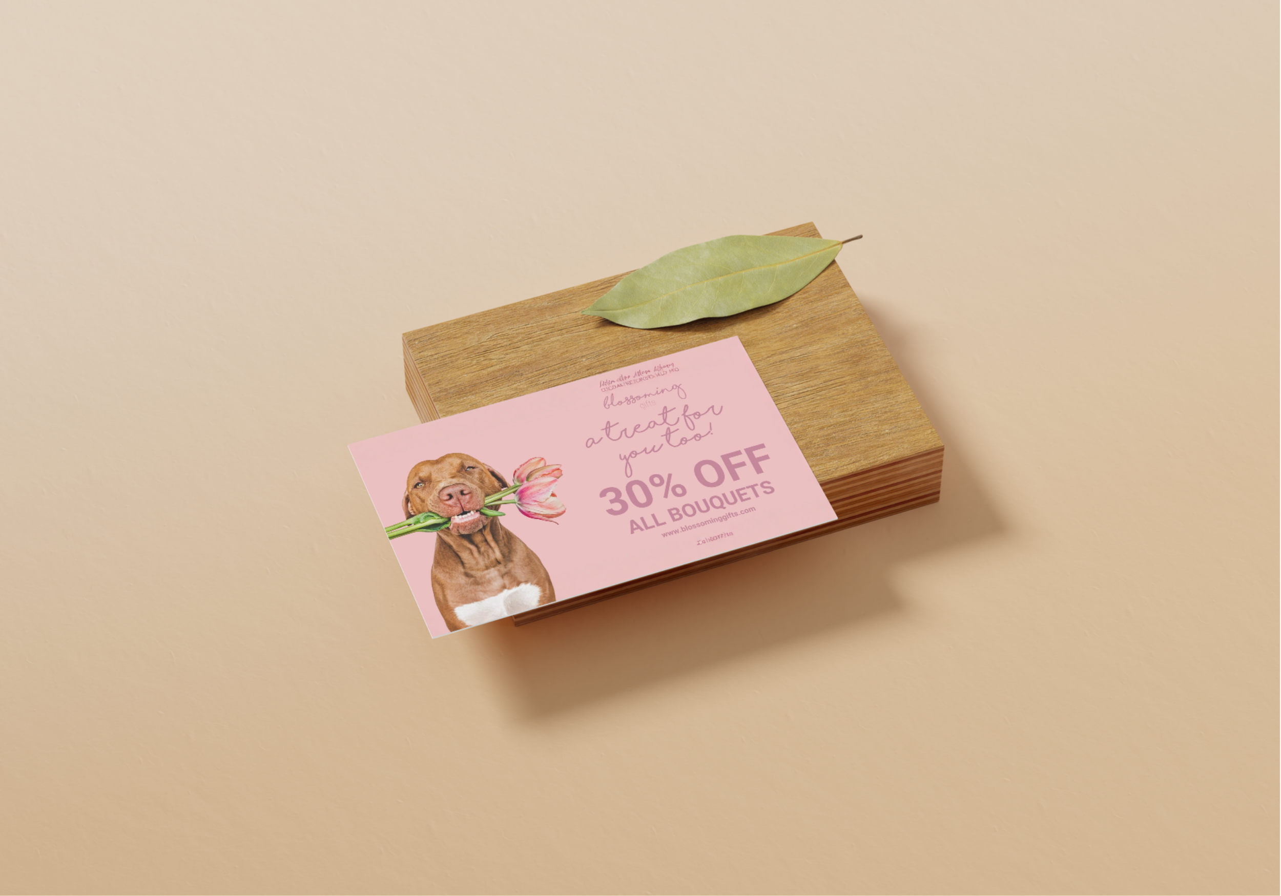 Untitled design (23).png