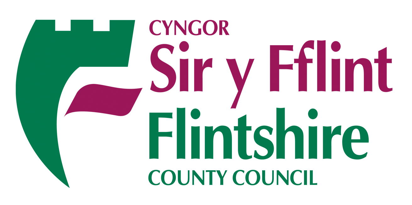 Logo for Flintshire County Council featuring stylized green and purple design with text 'CYNGOR Sir y Fflint Flintshire COUNTY COUNCIL'.