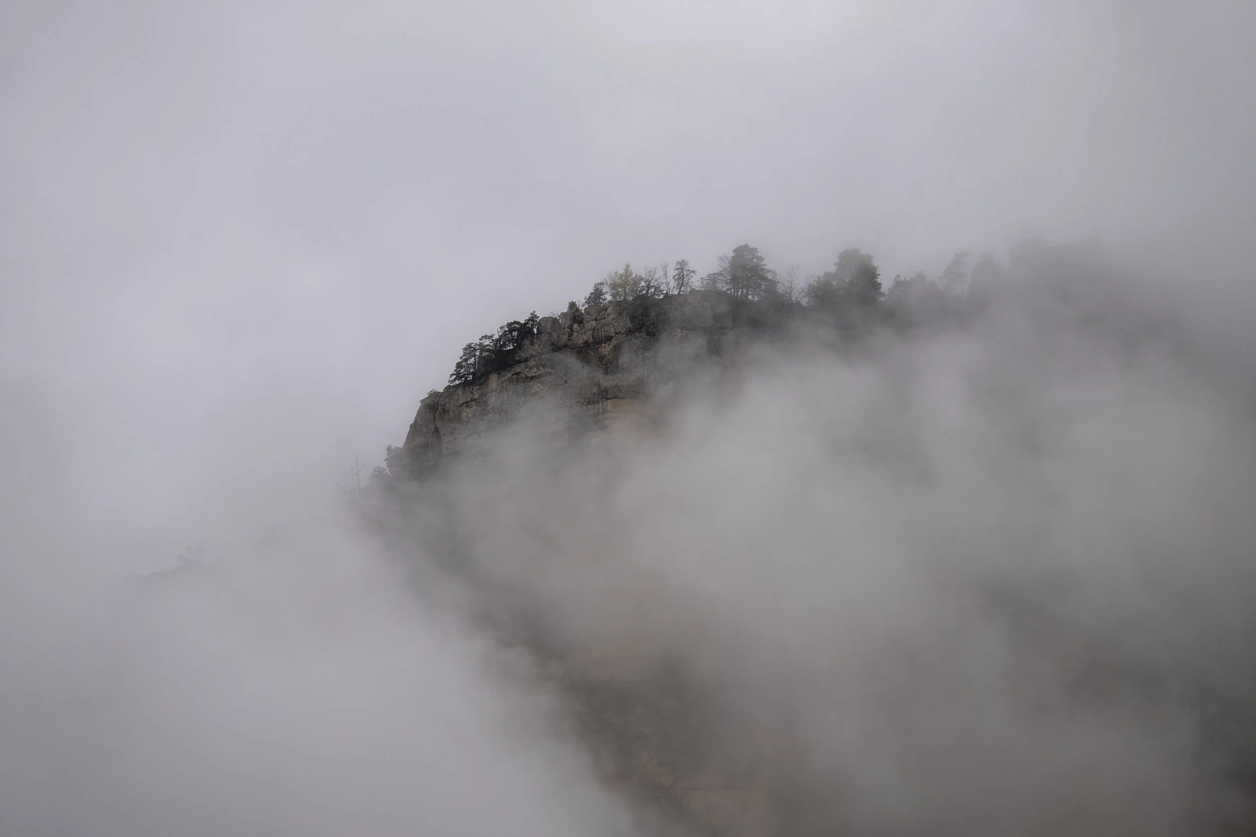 P1955200.jpg