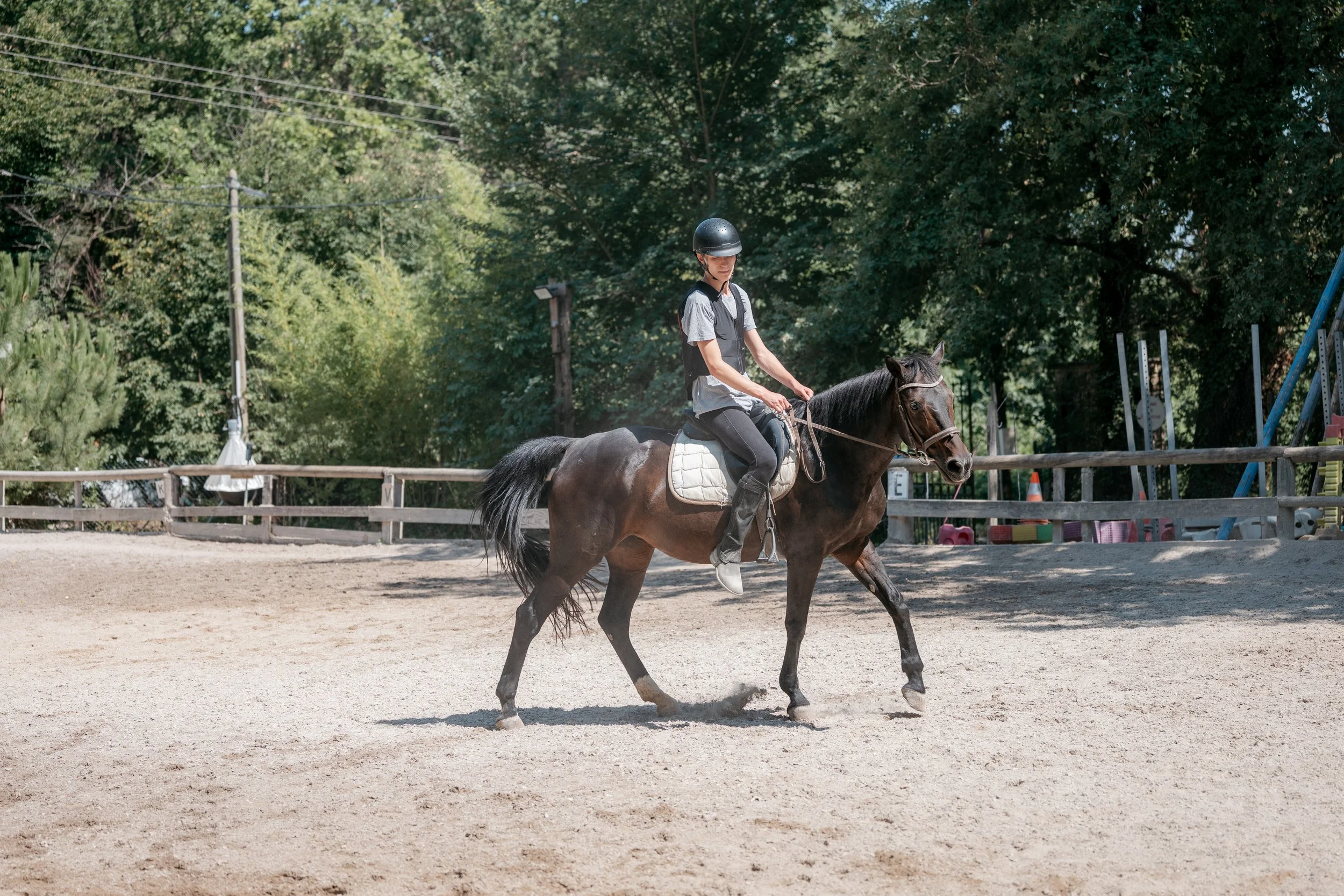P2384542.jpg