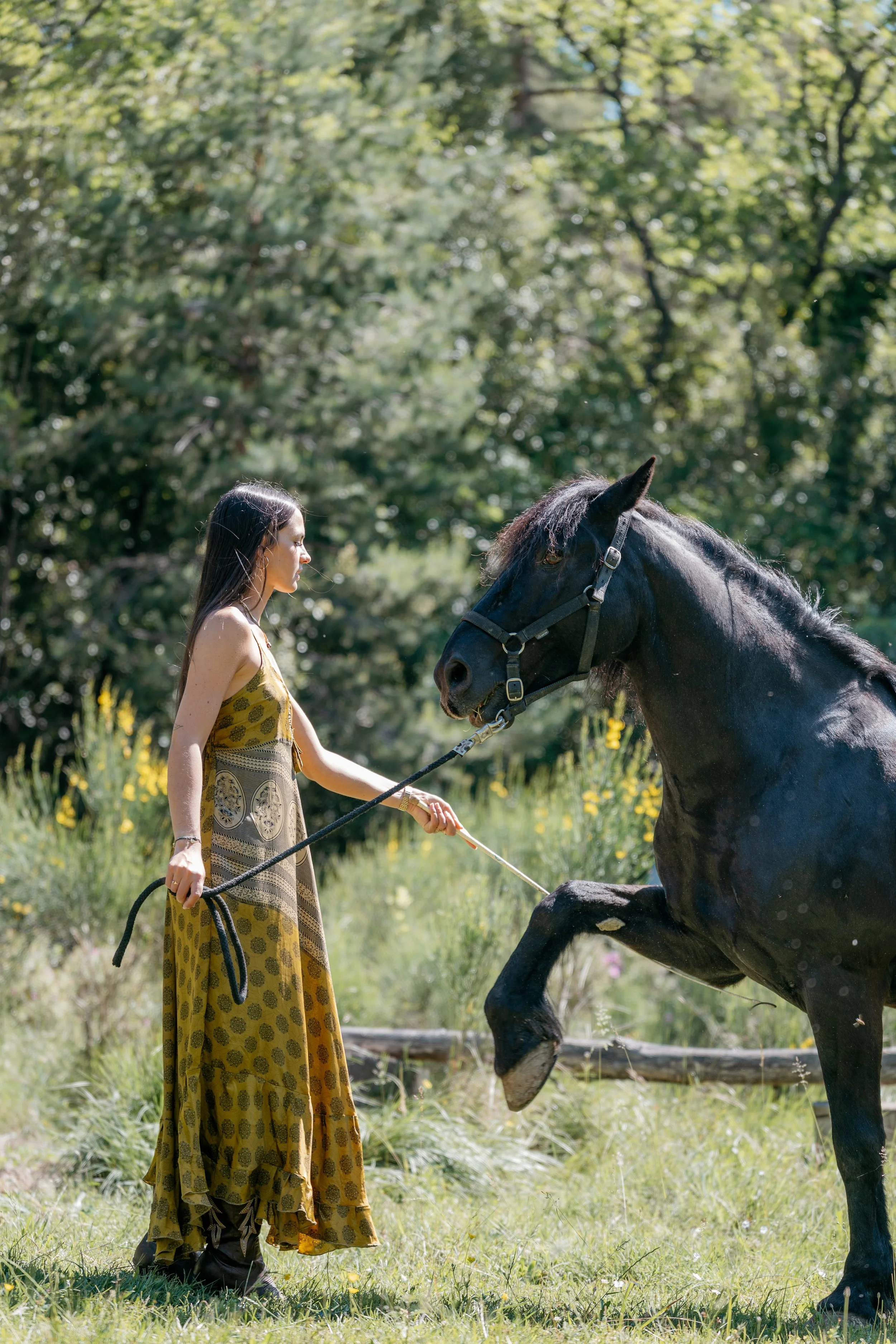 P2068323.jpg