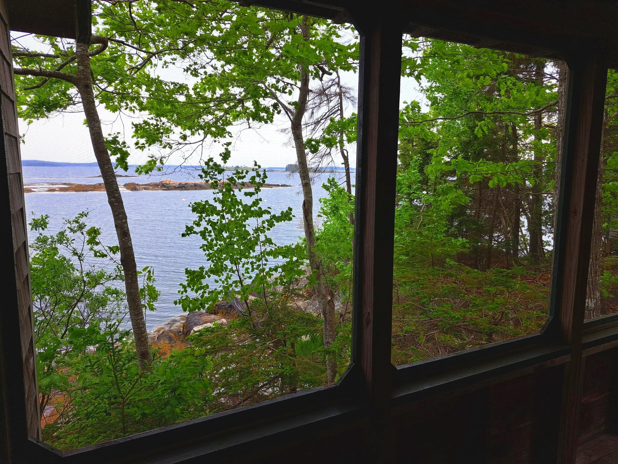 View from screened porch