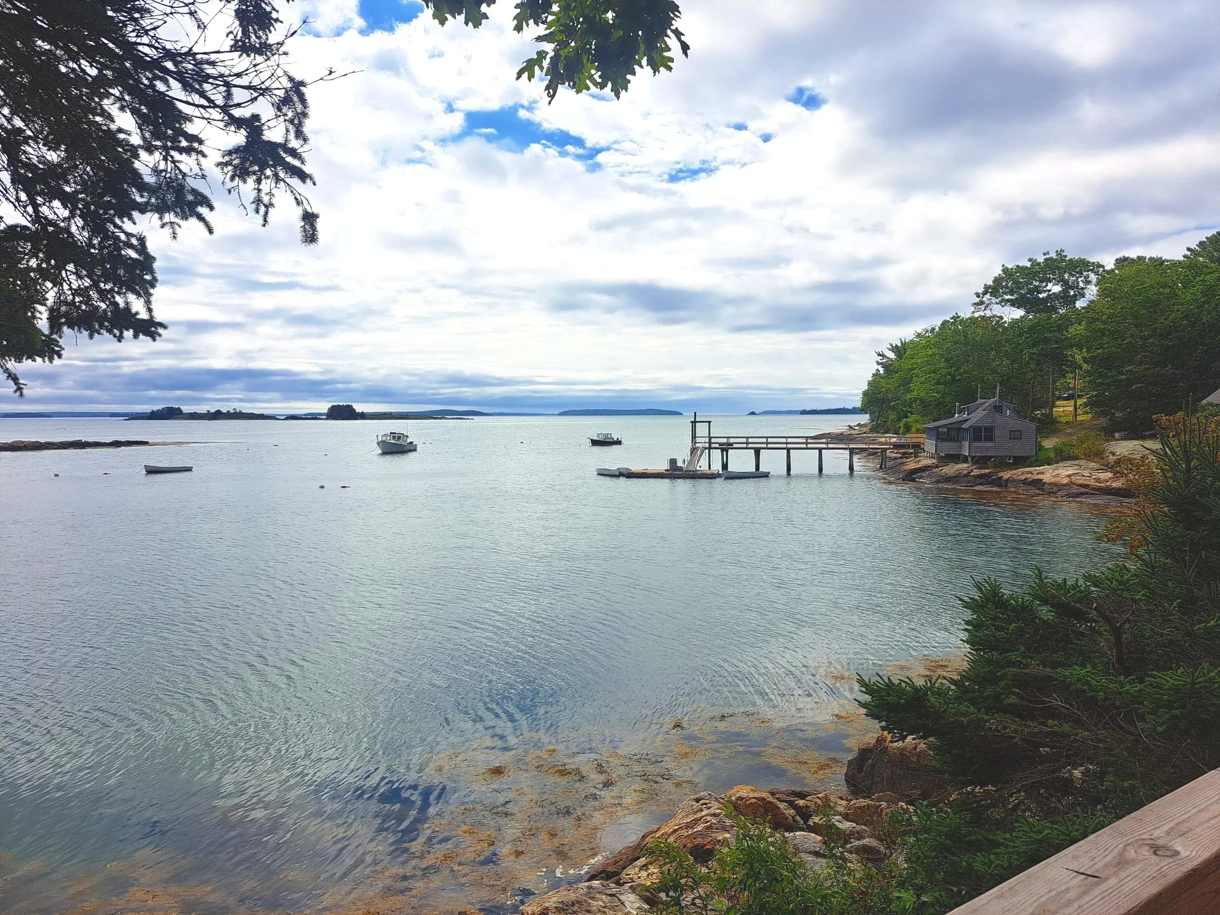 View from Maple's porch