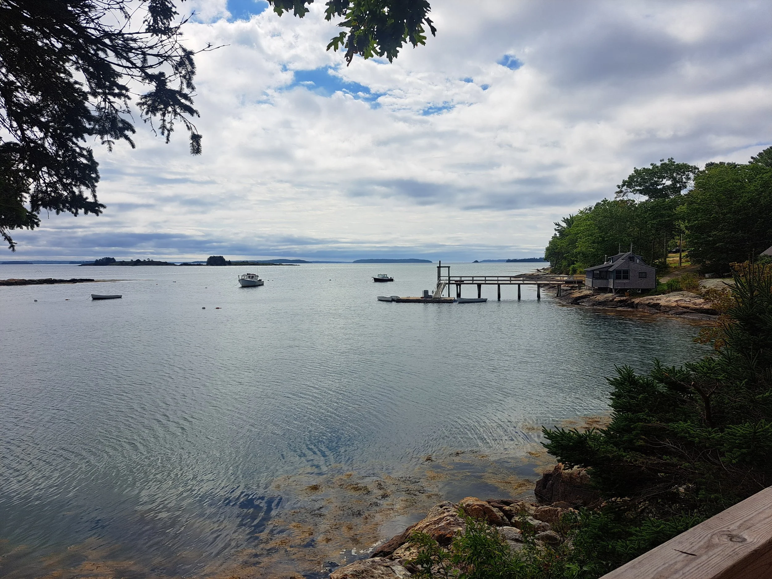 View from Maple's porch