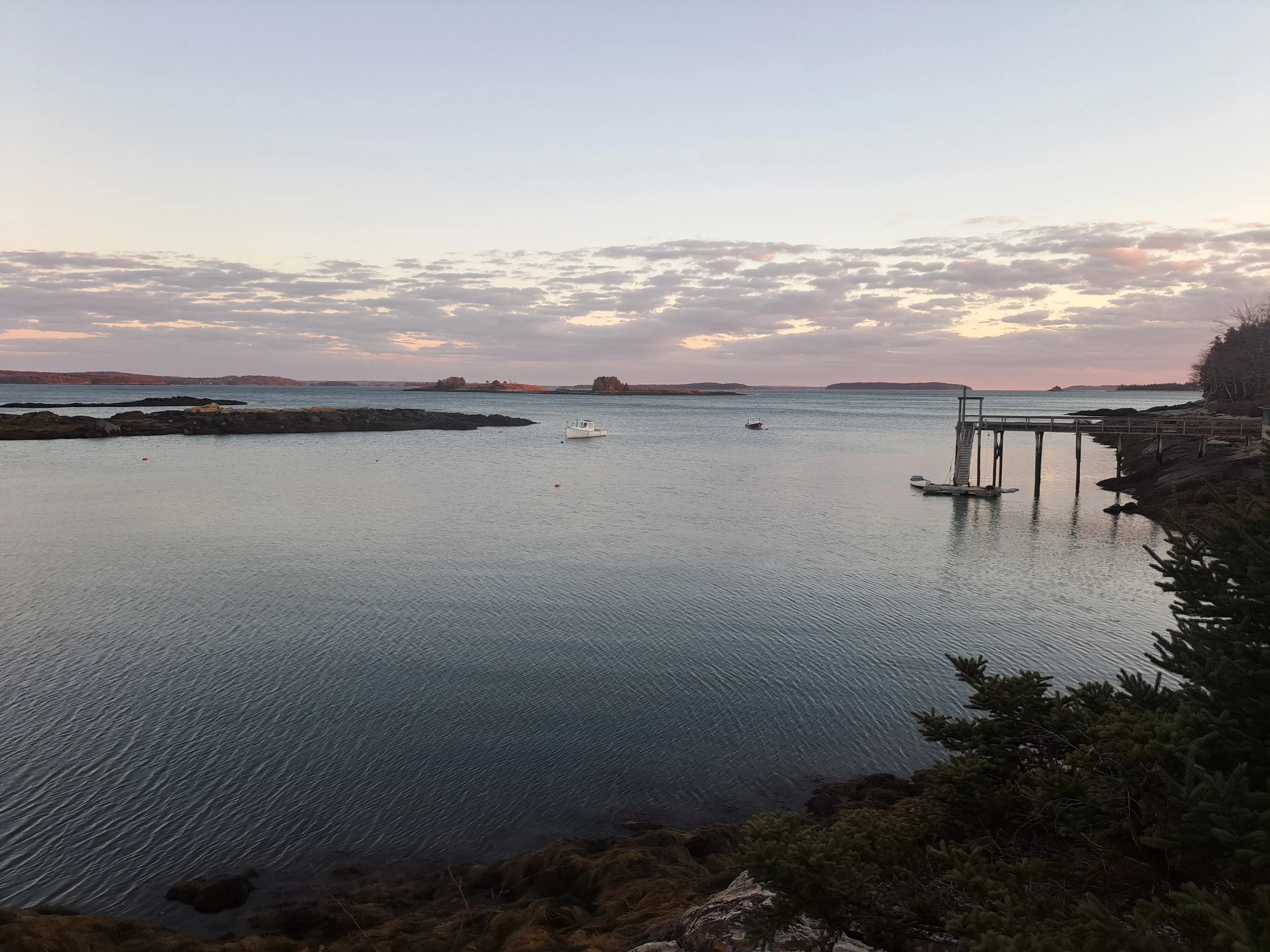 Birches view of Stand Cove