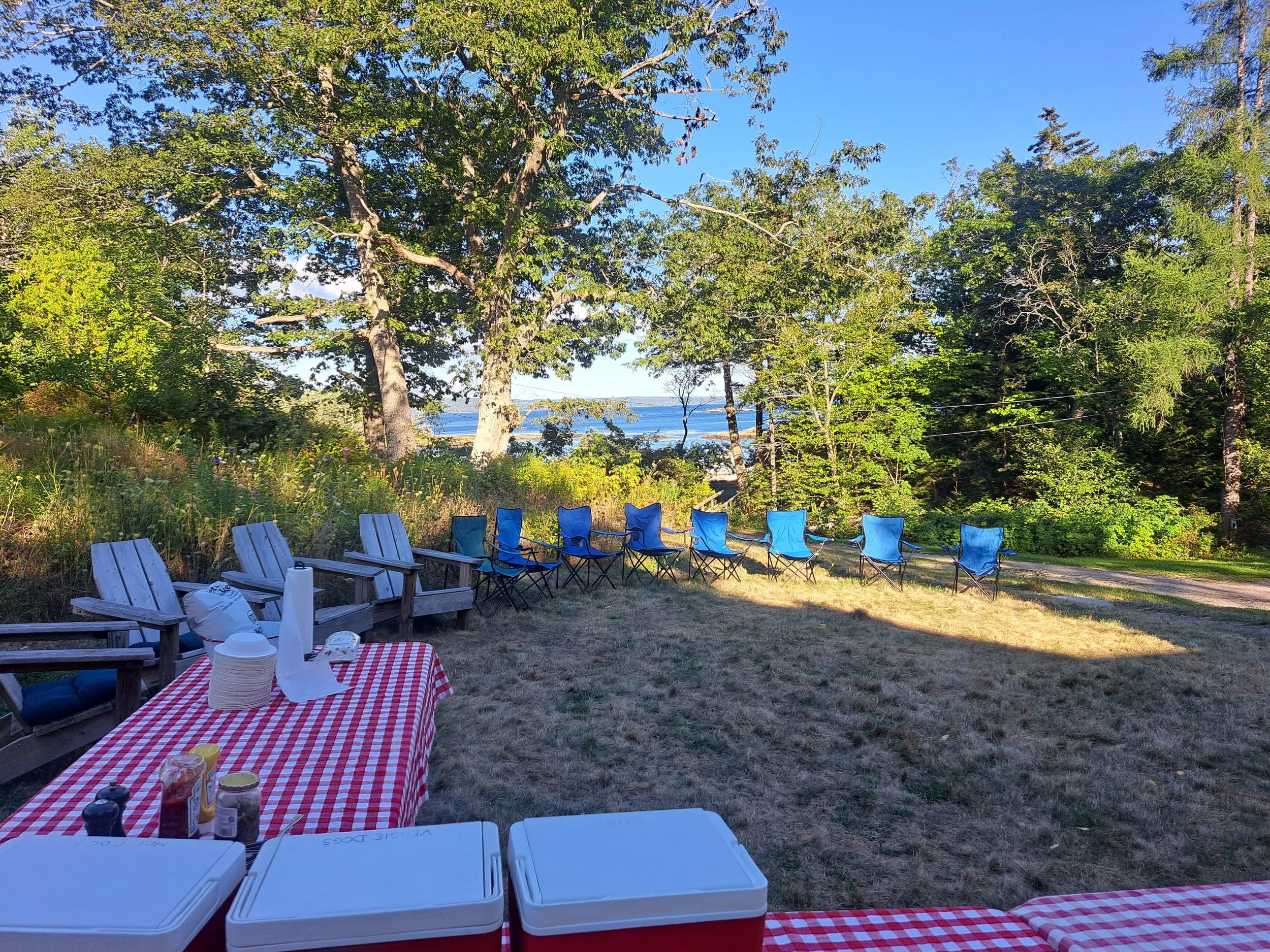 Outdoor gathering setup with blue chairs, white picnic tables with a red-checked tablecloth, and coolers in a grassy area surrounded by trees, overlooking a body of water.