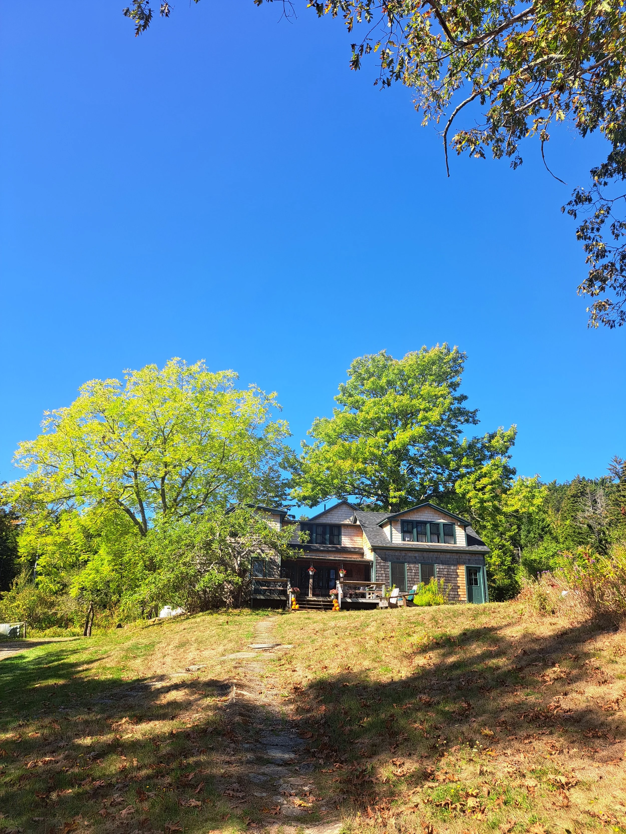 A house surrounded by trees on a sunny day with a clear blue sky.