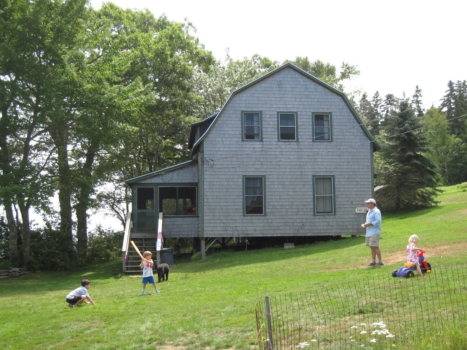 A blue house with four windows on the upper floor and three on the lower floor, on a grassy hill surrounded by trees. Four children and an adult are playing nearby, with a young girl on a toy tractor, a boy squatting on the grass, a boy holding a sti