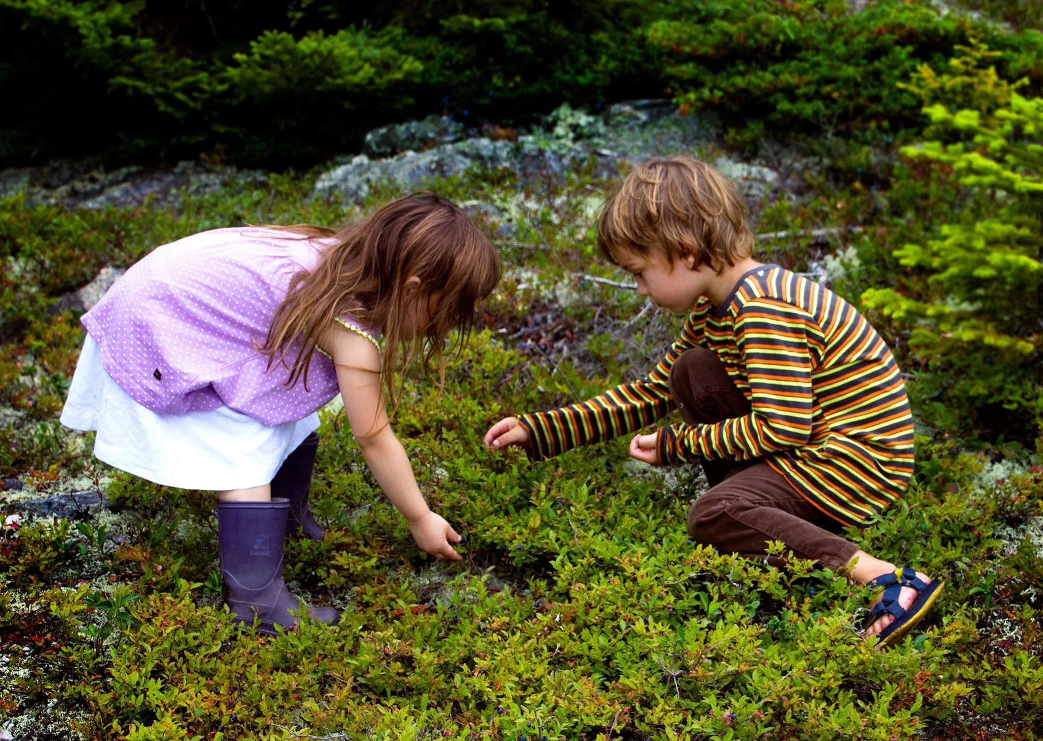 Two children, a girl and a boy, are crouched down and exploring plants in a green outdoor area.