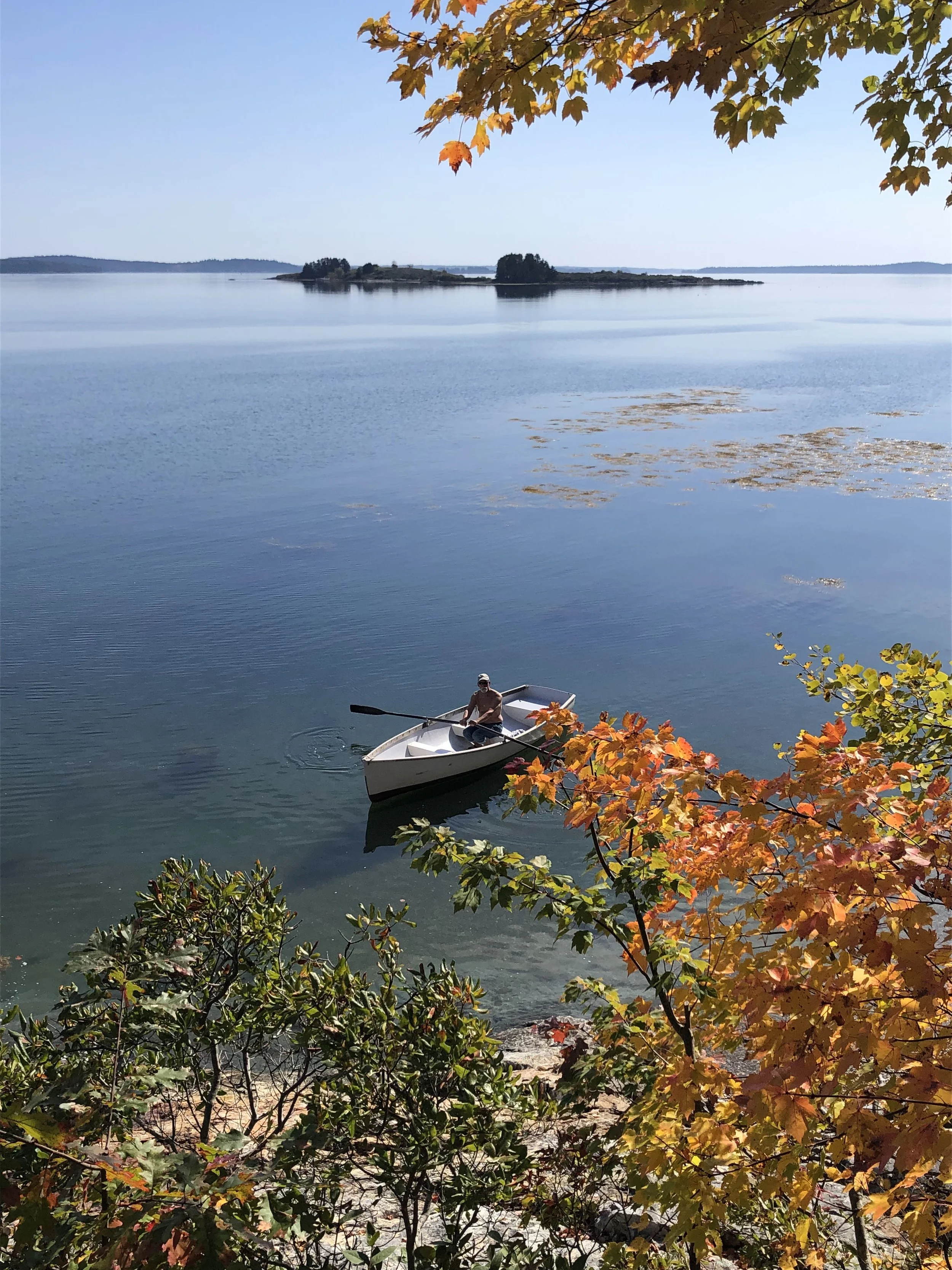 A person rowing a small white boat on a calm lake with clear blue water, surrounded by trees with colorful autumn leaves in the foreground and a distant island in the background.