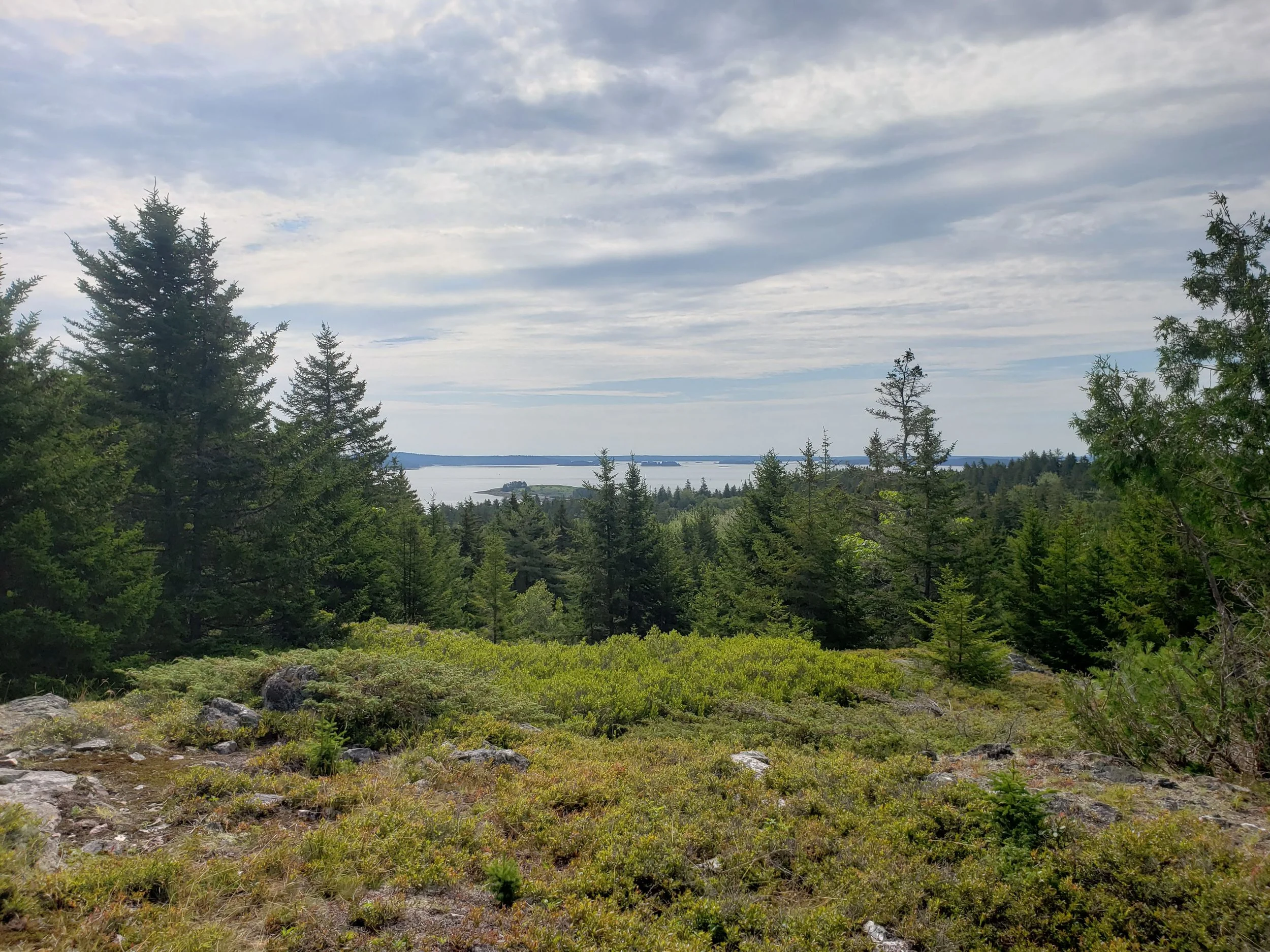 A scenic view of a forest with a river and distant land in the background under a partly cloudy sky.