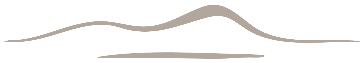 Stonecoast Full Service Interior Design Logo Mark