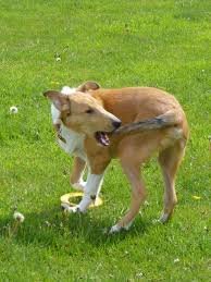 Anxiety and avoidance: Best buds