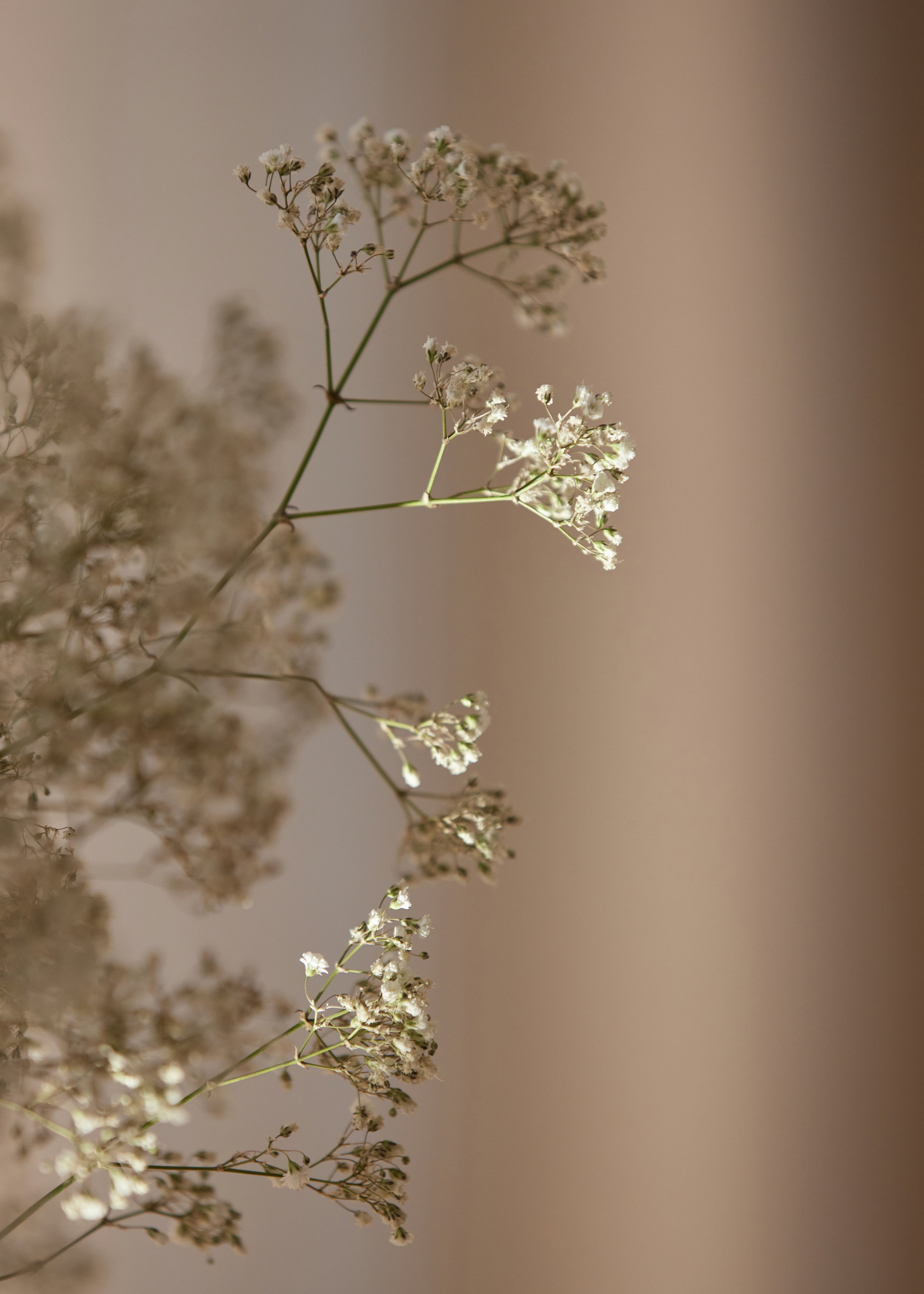 Untitled Capture0016 3.jpg