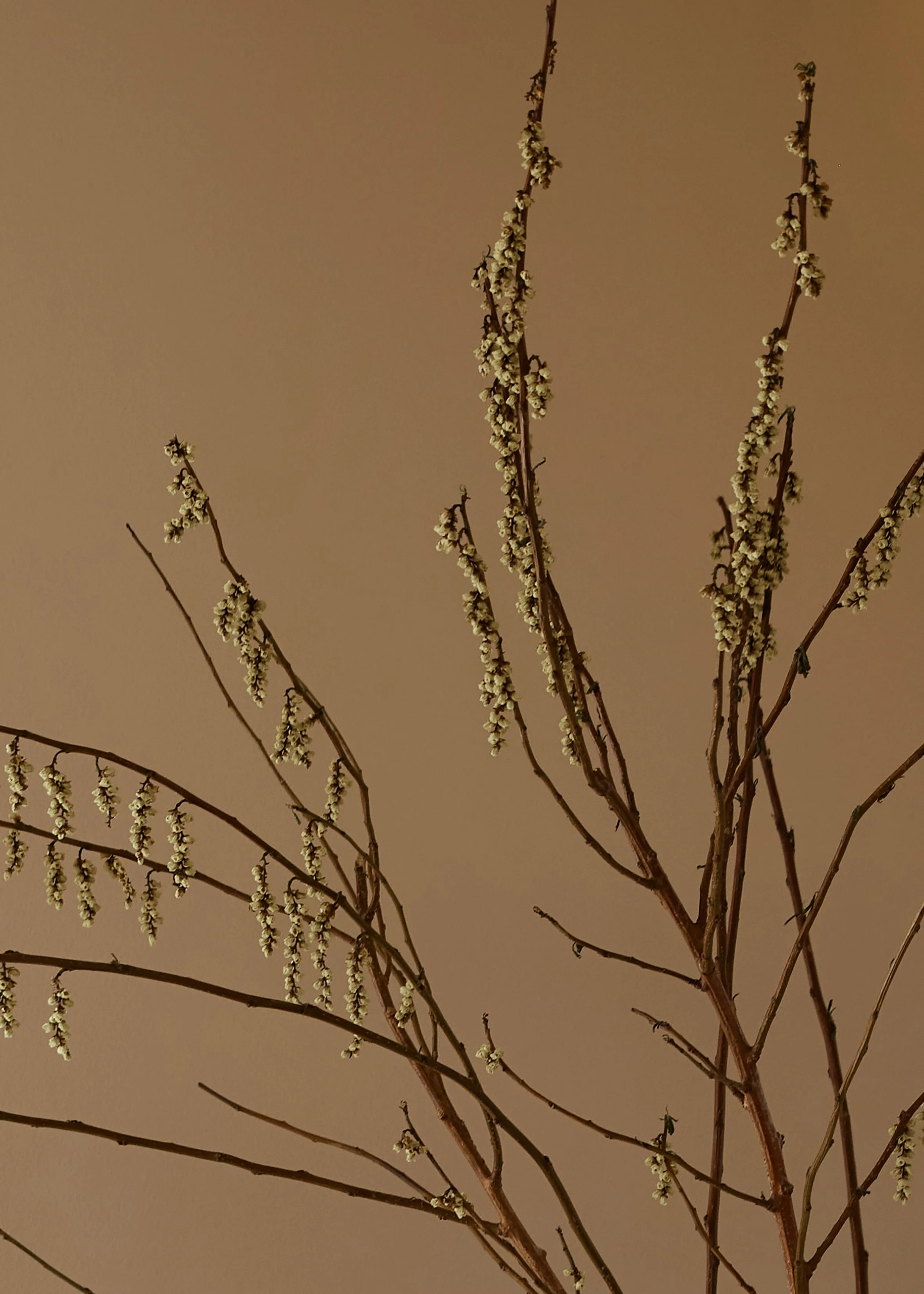 Untitled Capture0028.jpg