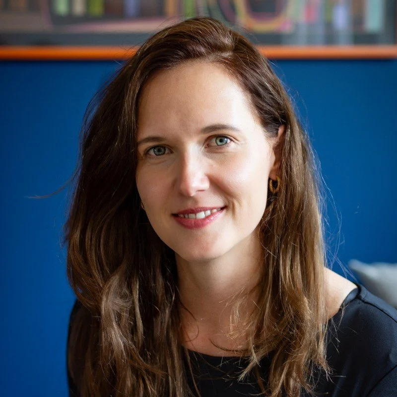 HR Technology Consultant