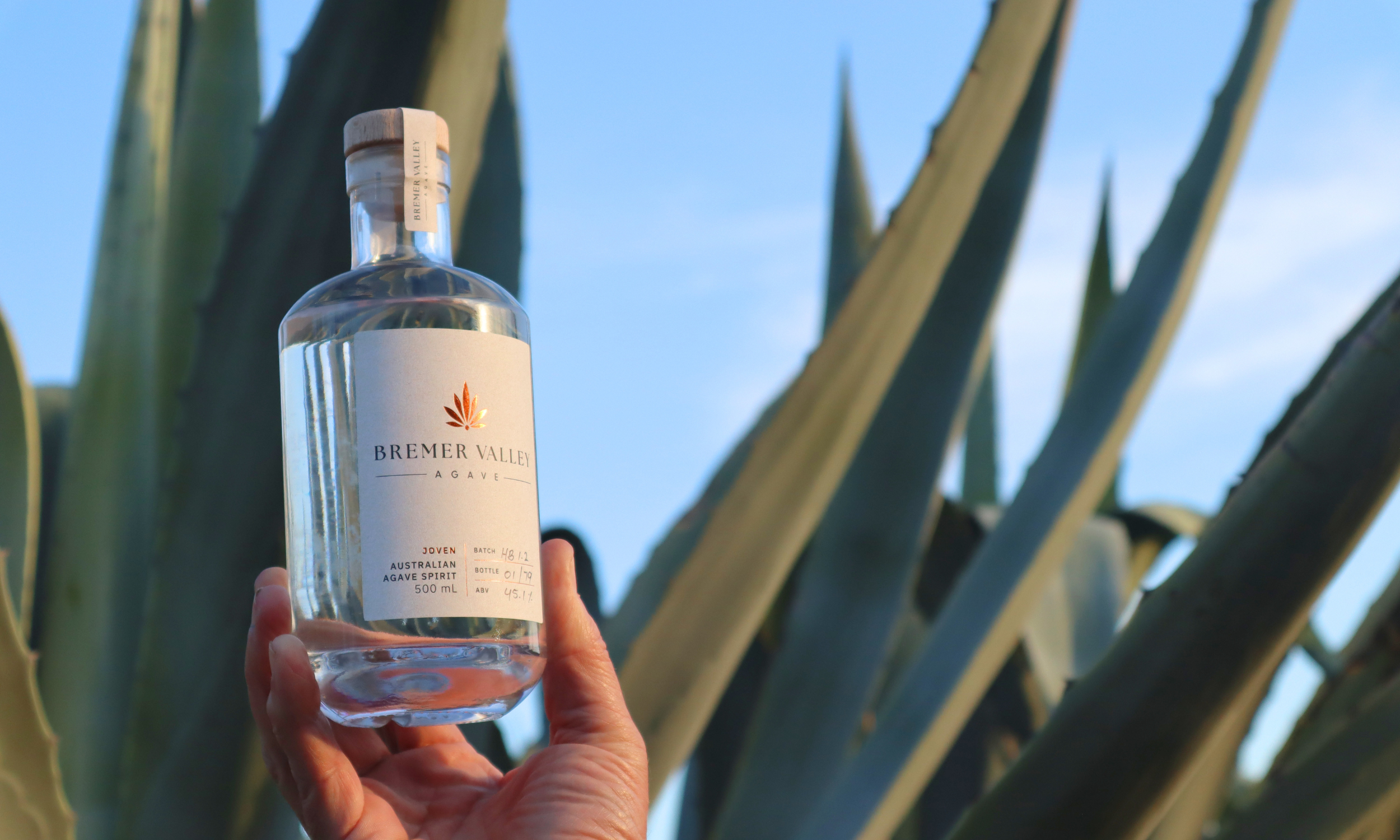 A hand holds a clear bottle of Bremer Valley Agave Spirit in front of large green agave plants with a blue sky background.