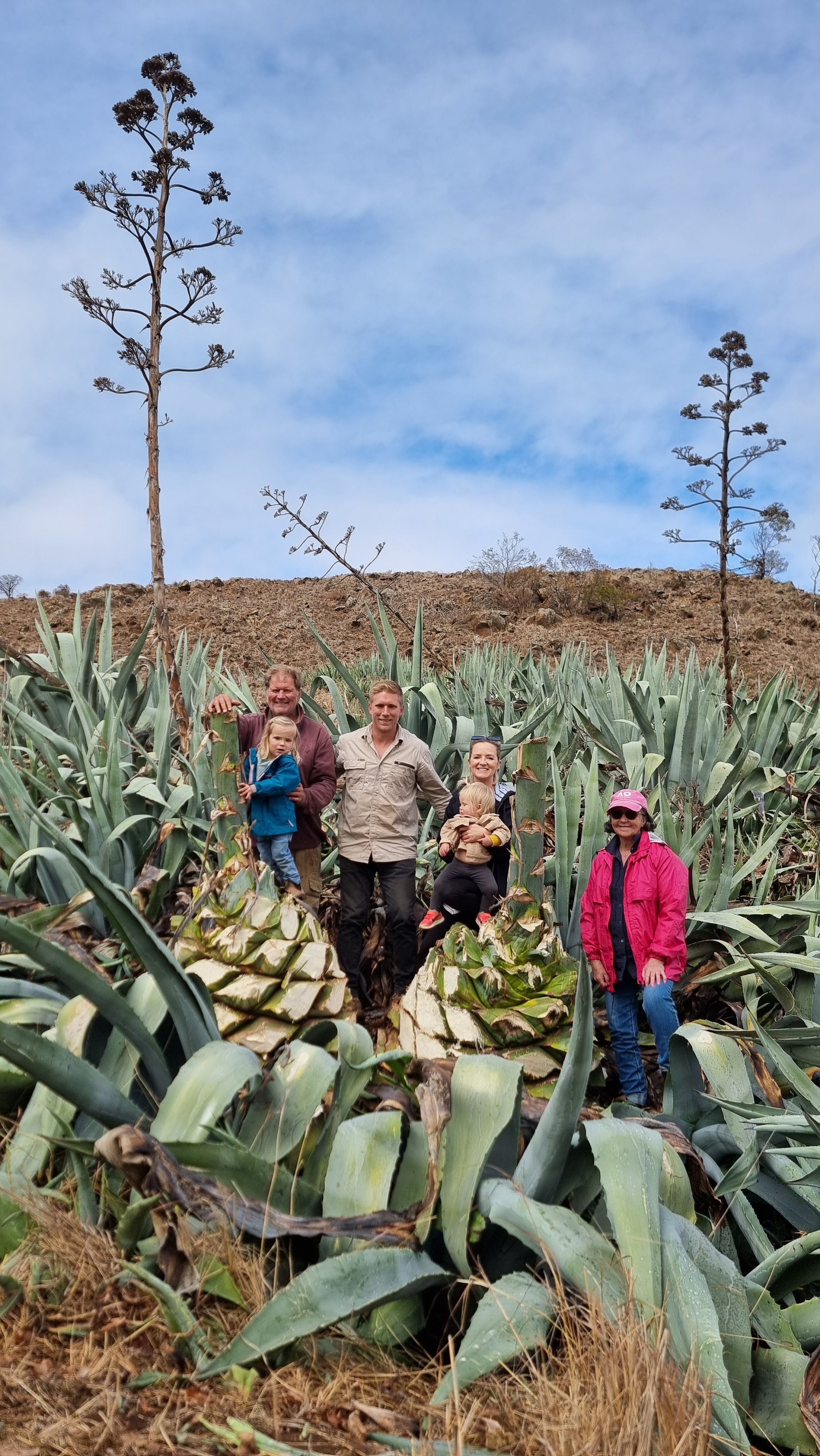 Newell Family Bremer Valley Agave