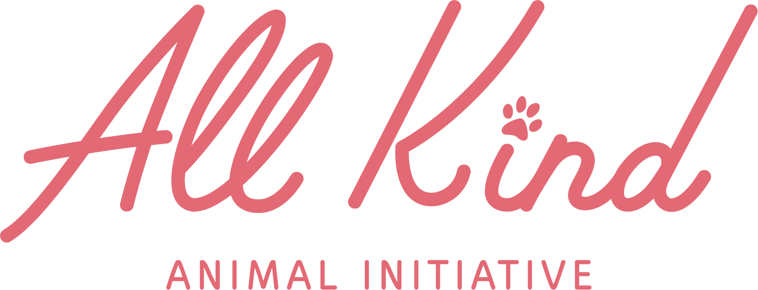 Pink script text that says 'All Kinds' with a paw print replacing the dot on the letter 'i' in 'Kinds'. Below this, in smaller pink text, it says 'Animal Initiative'.
